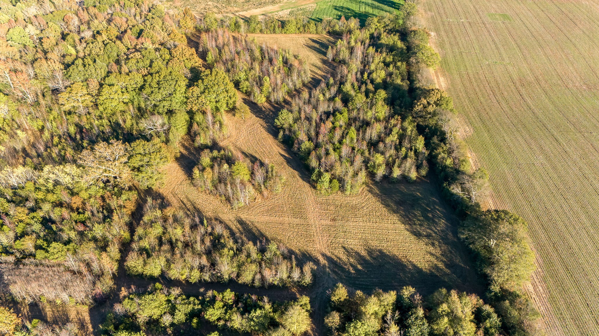 35 County Line Rd Sw Property Photo 20