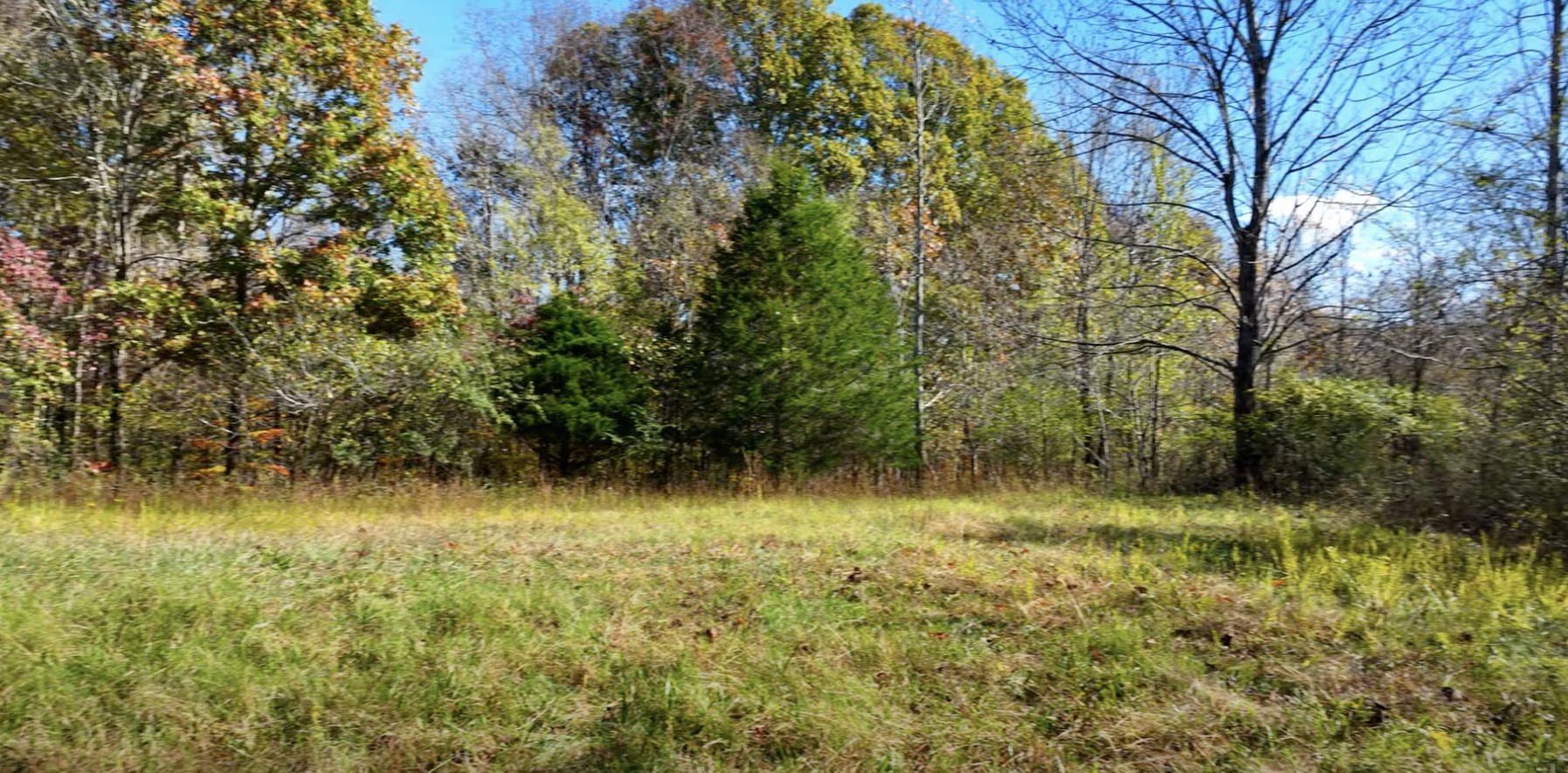 0 Parker Branch Rd Property Photo 3