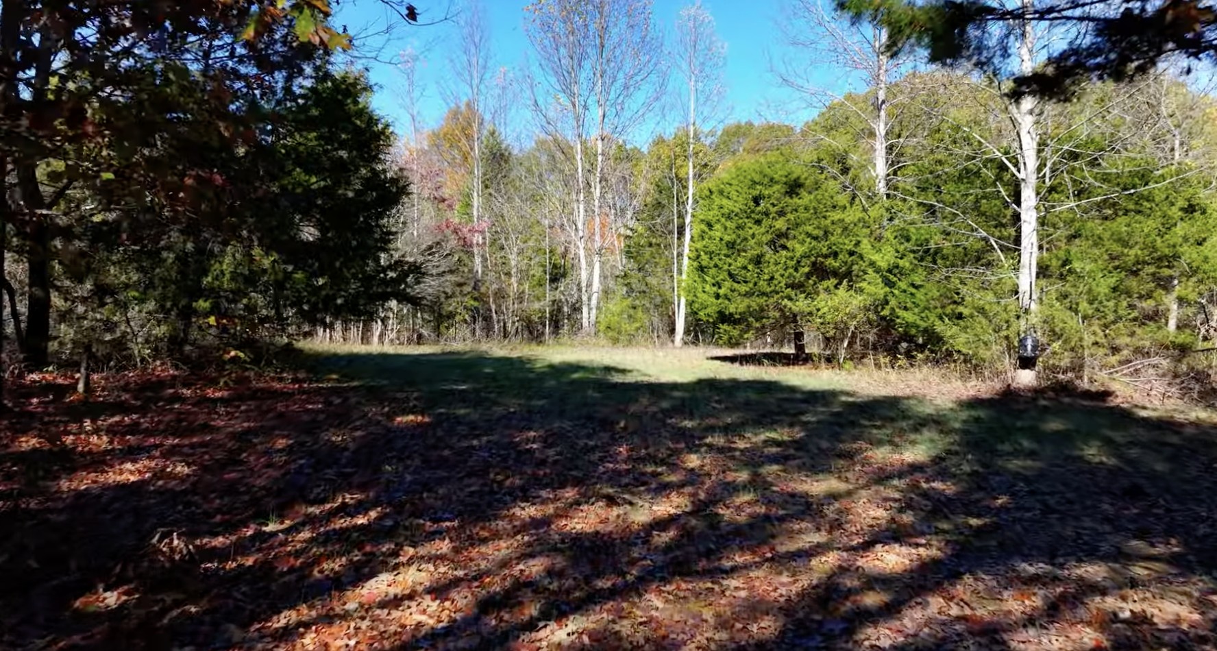 0 Parker Branch Rd Property Photo 5