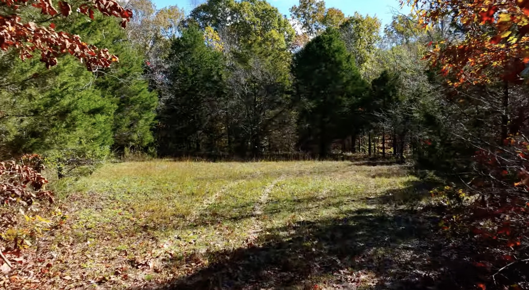 0 Parker Branch Rd Property Photo 8