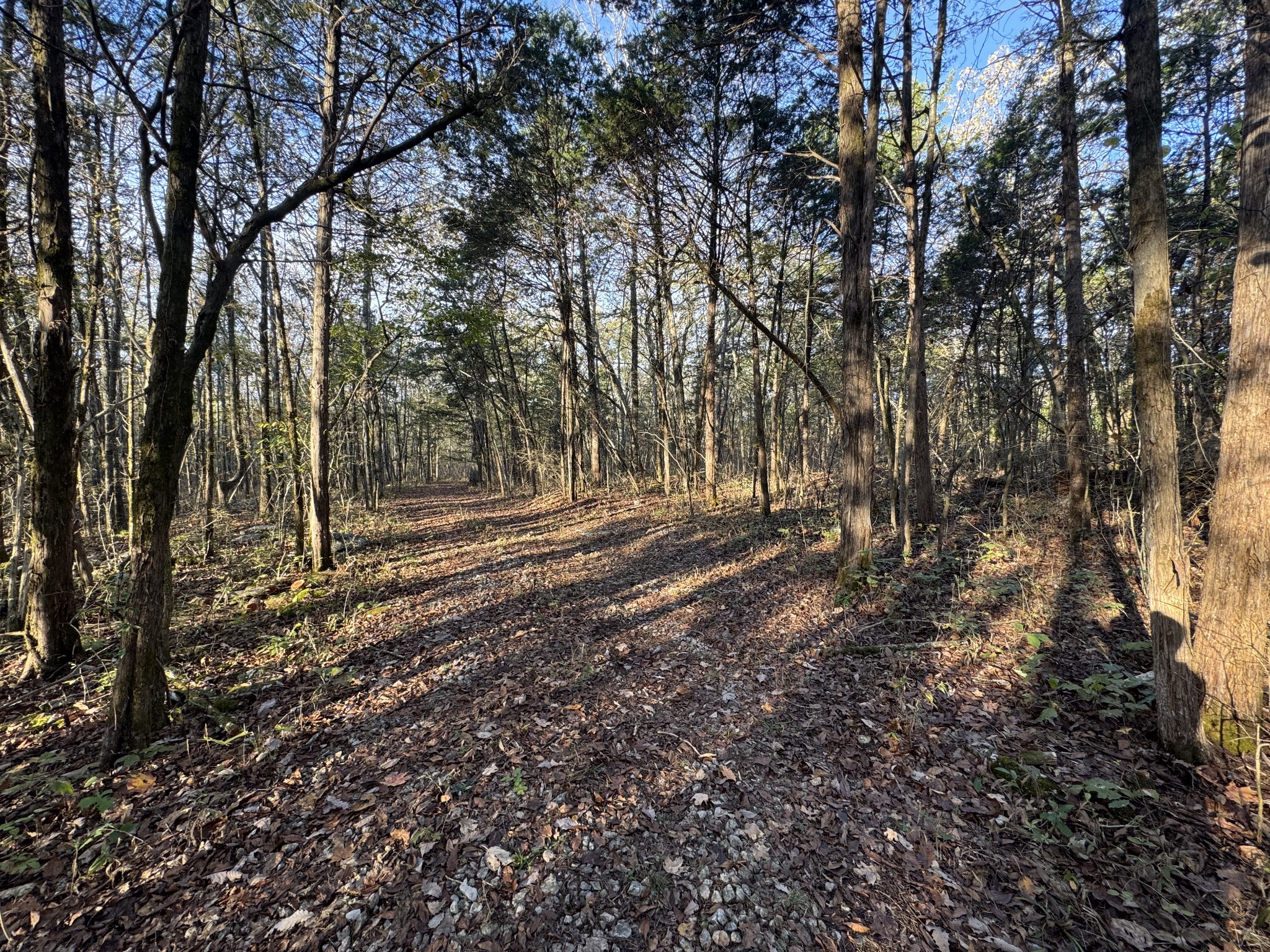 0 S Windrow Property Photo 4