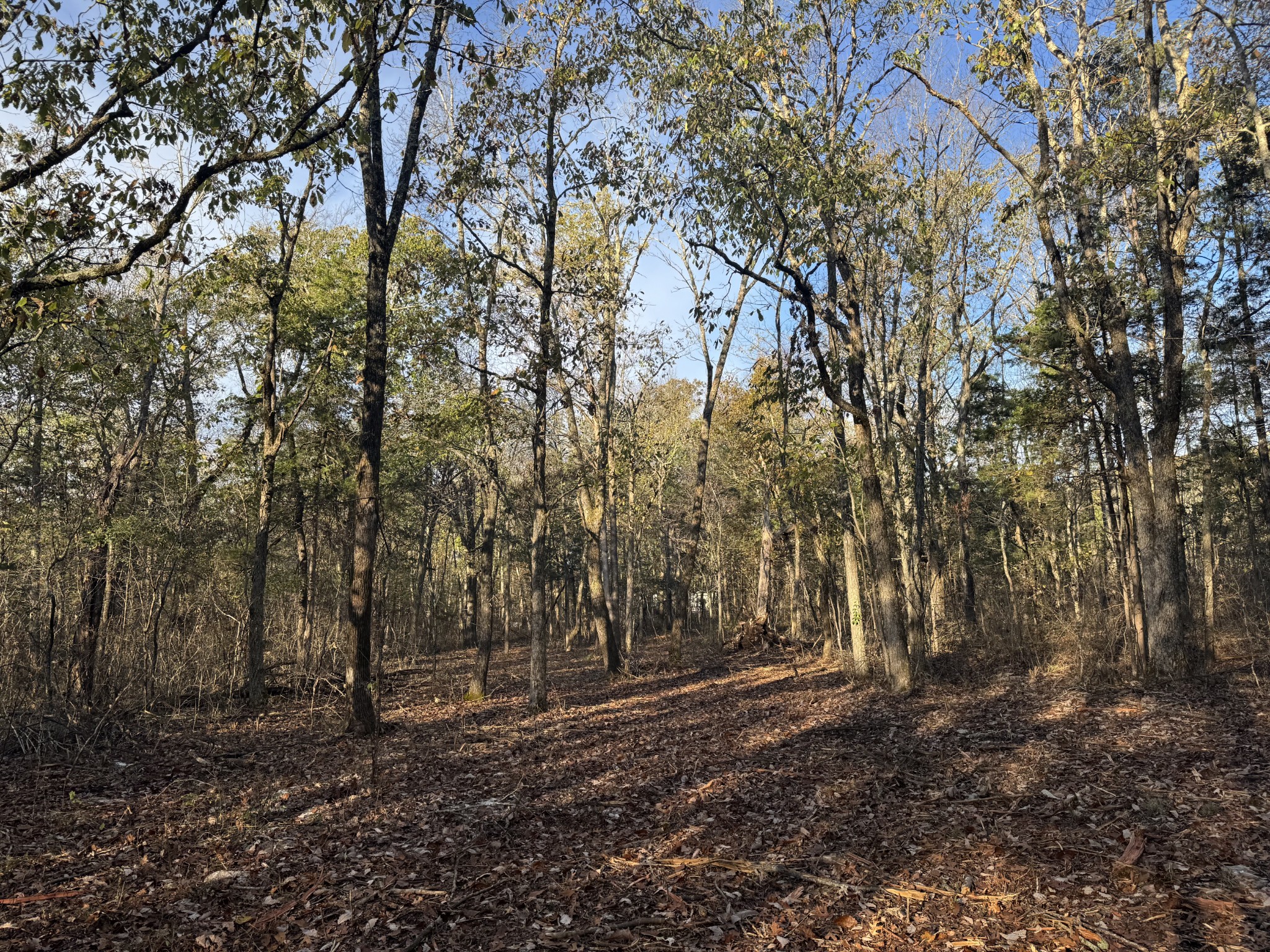 0 S Windrow Property Photo 8
