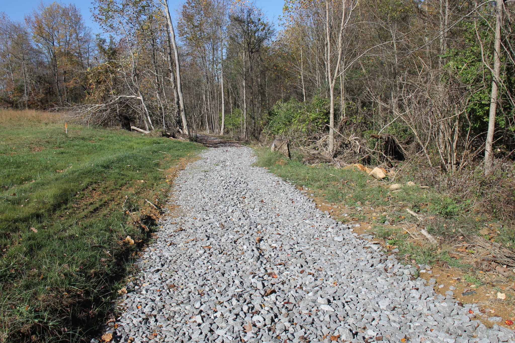 221 Whitson Rd Property Photo 2