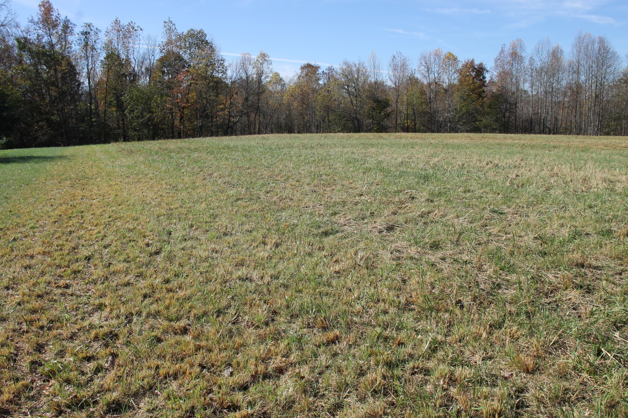 221 Whitson Rd Property Photo 4