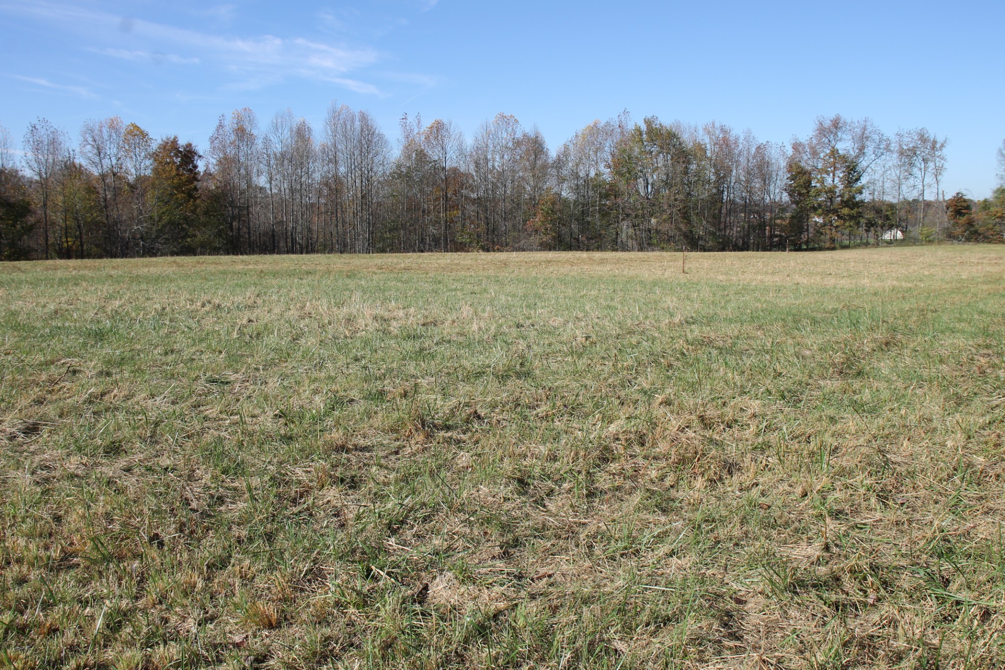221 Whitson Rd Property Photo 5