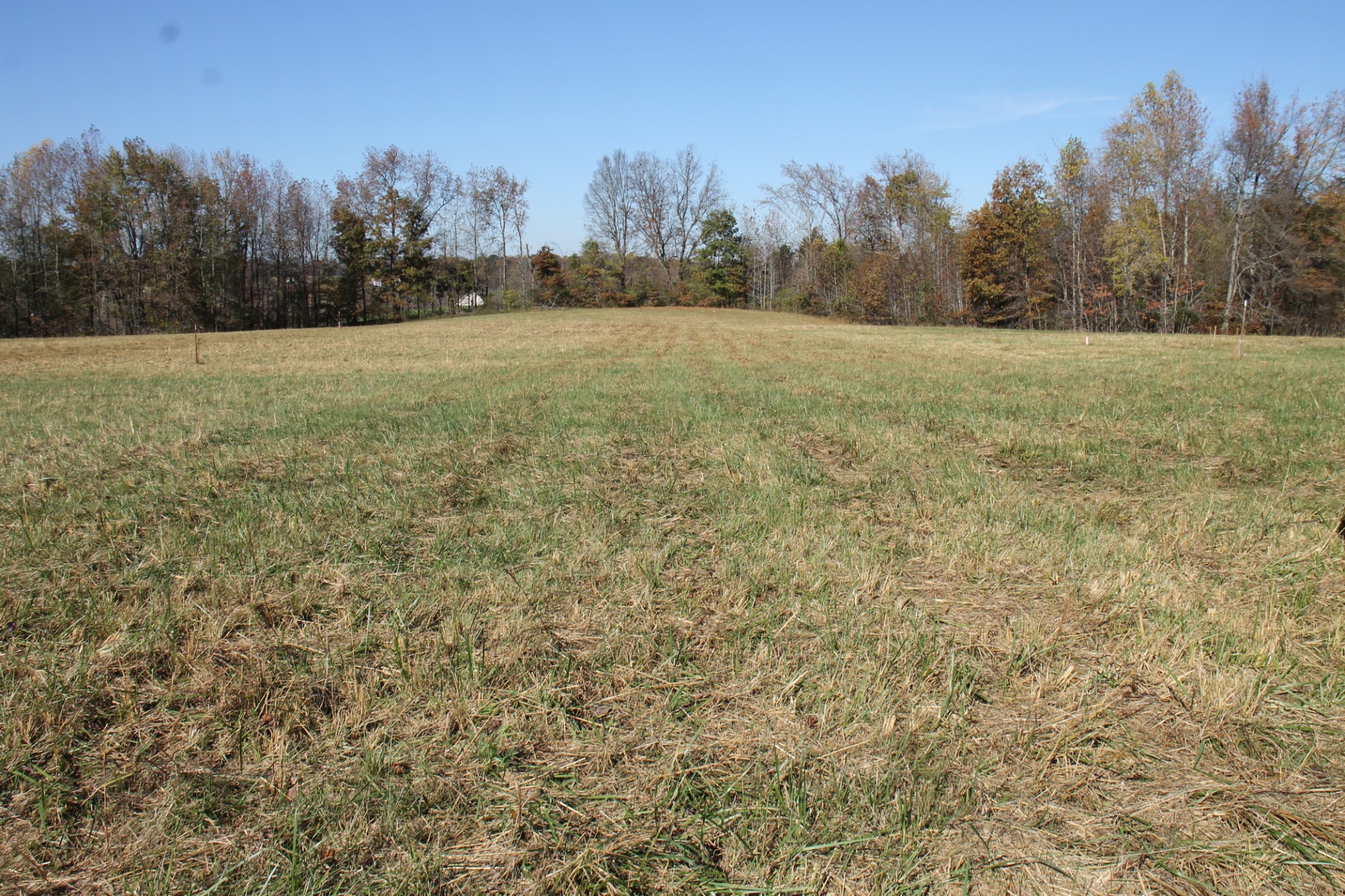 221 Whitson Rd Property Photo 6