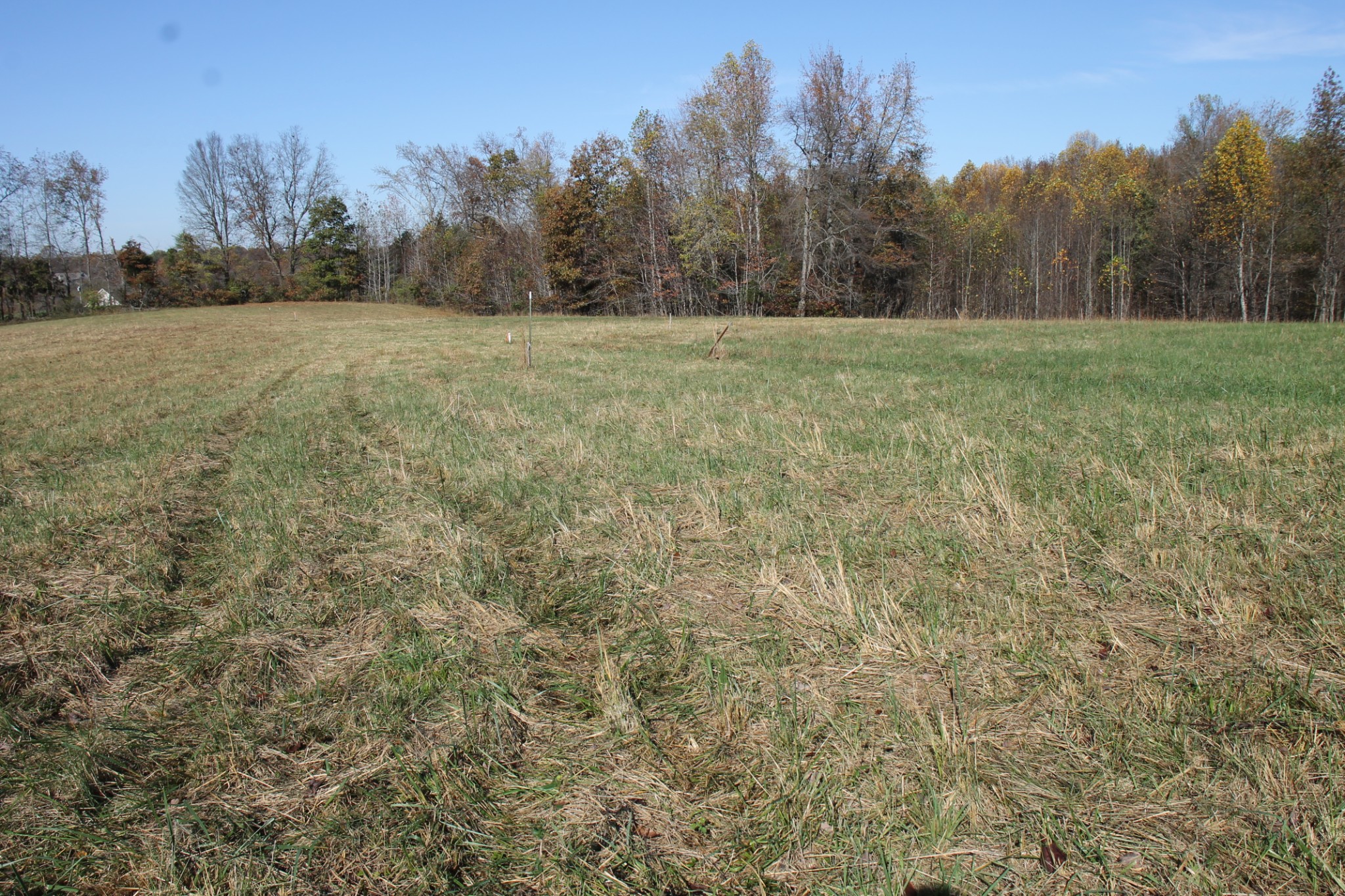 221 Whitson Rd Property Photo 7