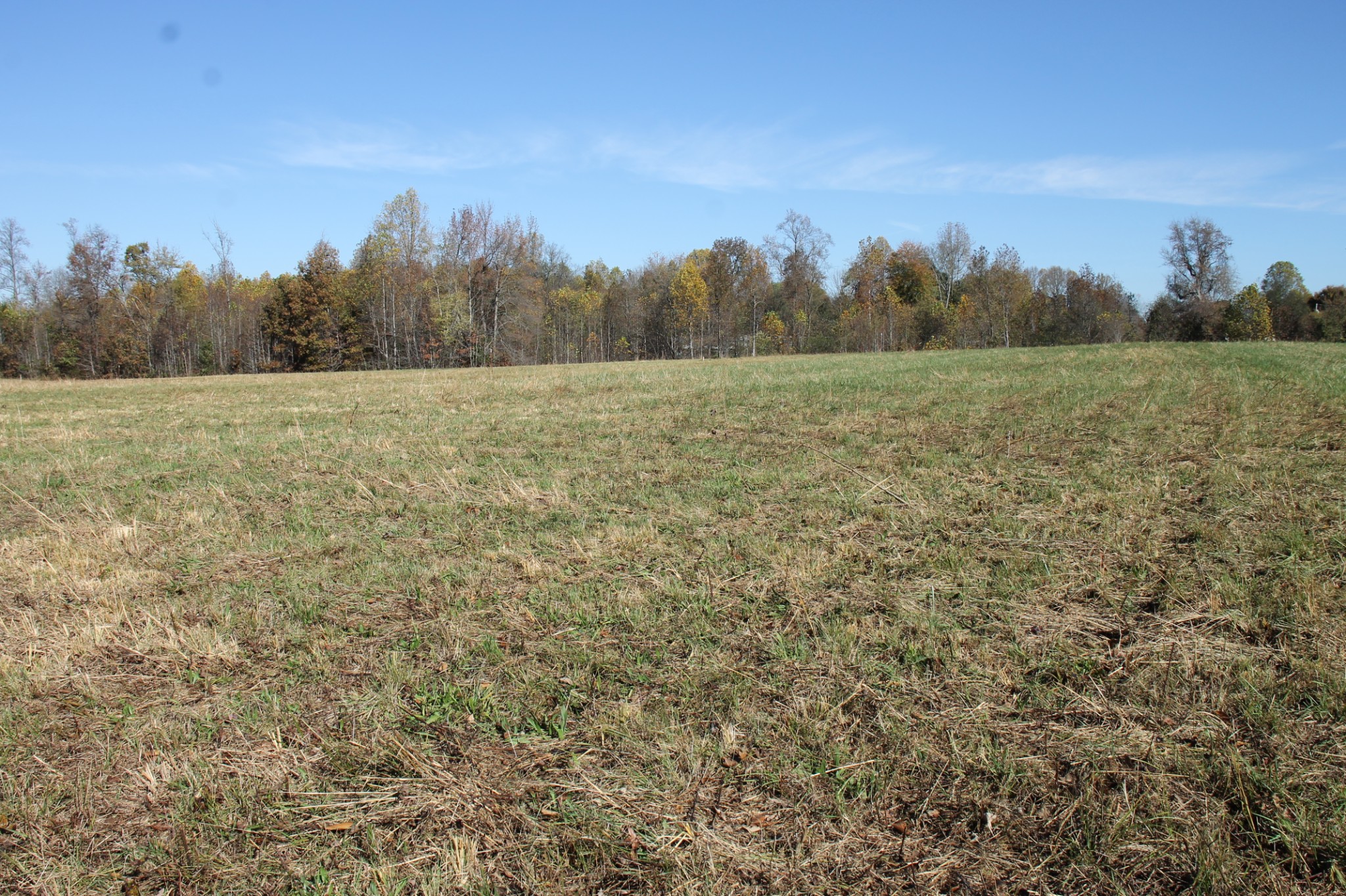 221 Whitson Rd Property Photo 8
