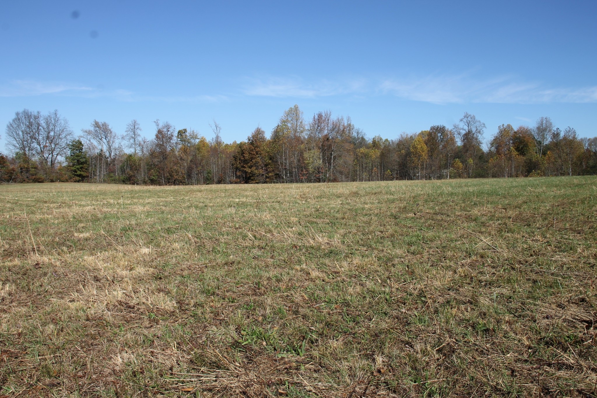 221 Whitson Rd Property Photo 9
