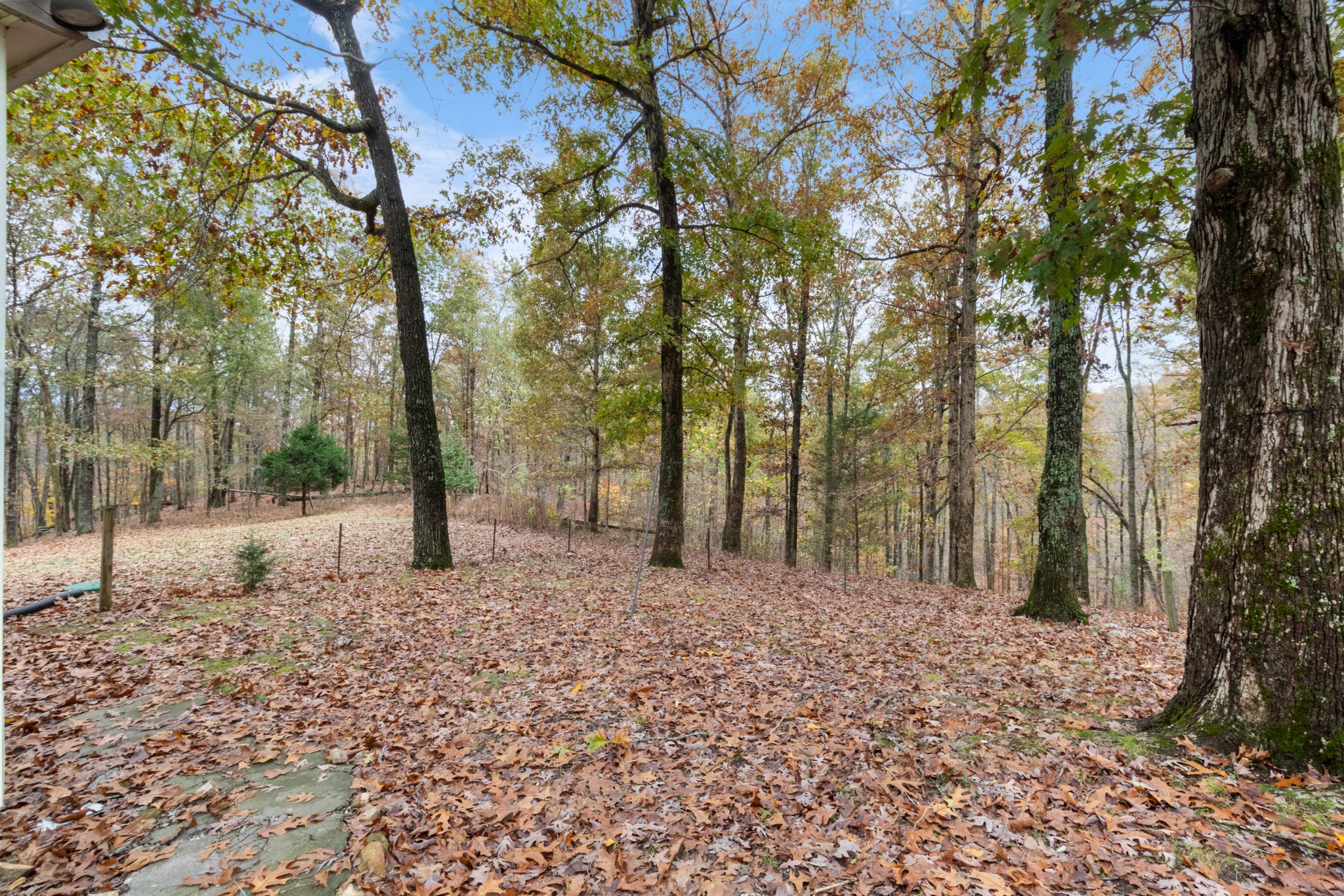 4560 Cumberland City Rd Property Photo 28