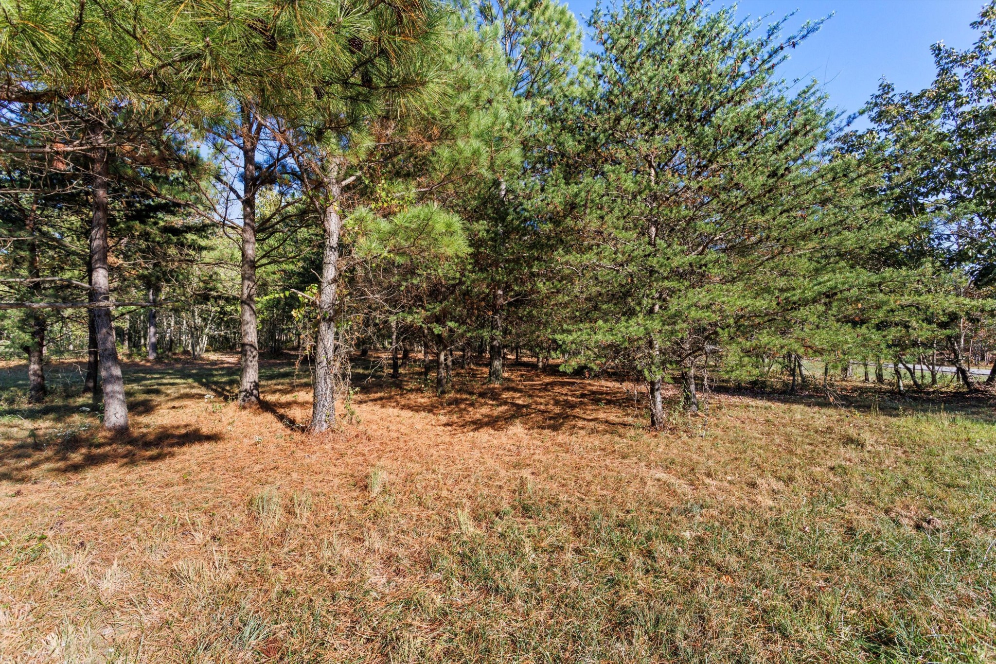 145 Eagle Eye Drive Property Photo 10