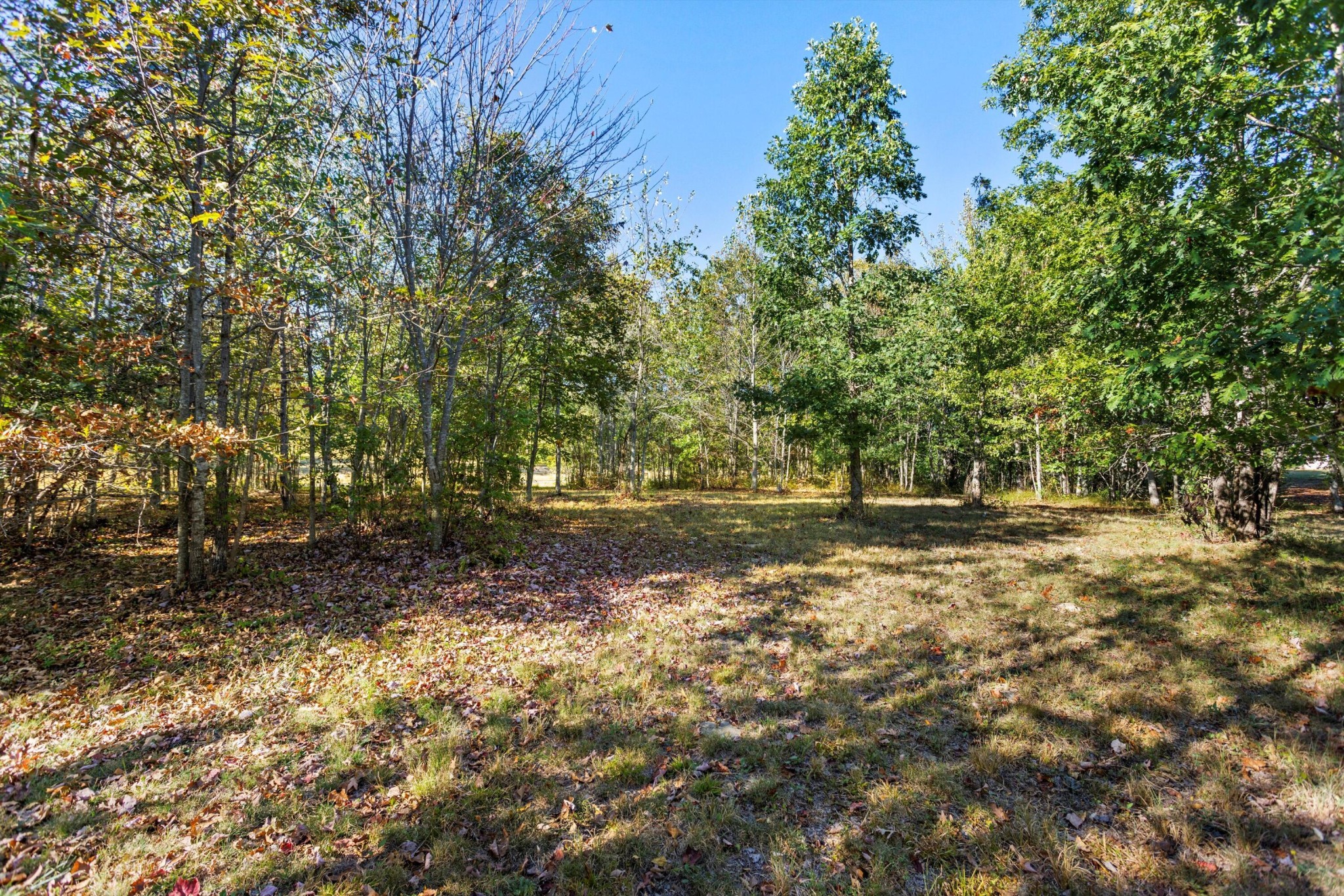 145 Eagle Eye Drive Property Photo 11