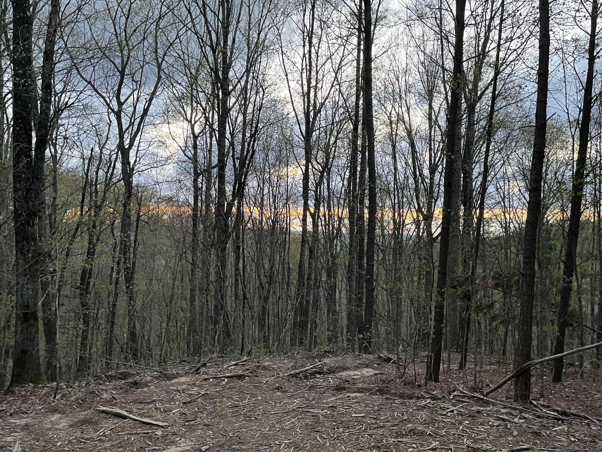 0 Honeybee Court Property Photo 8