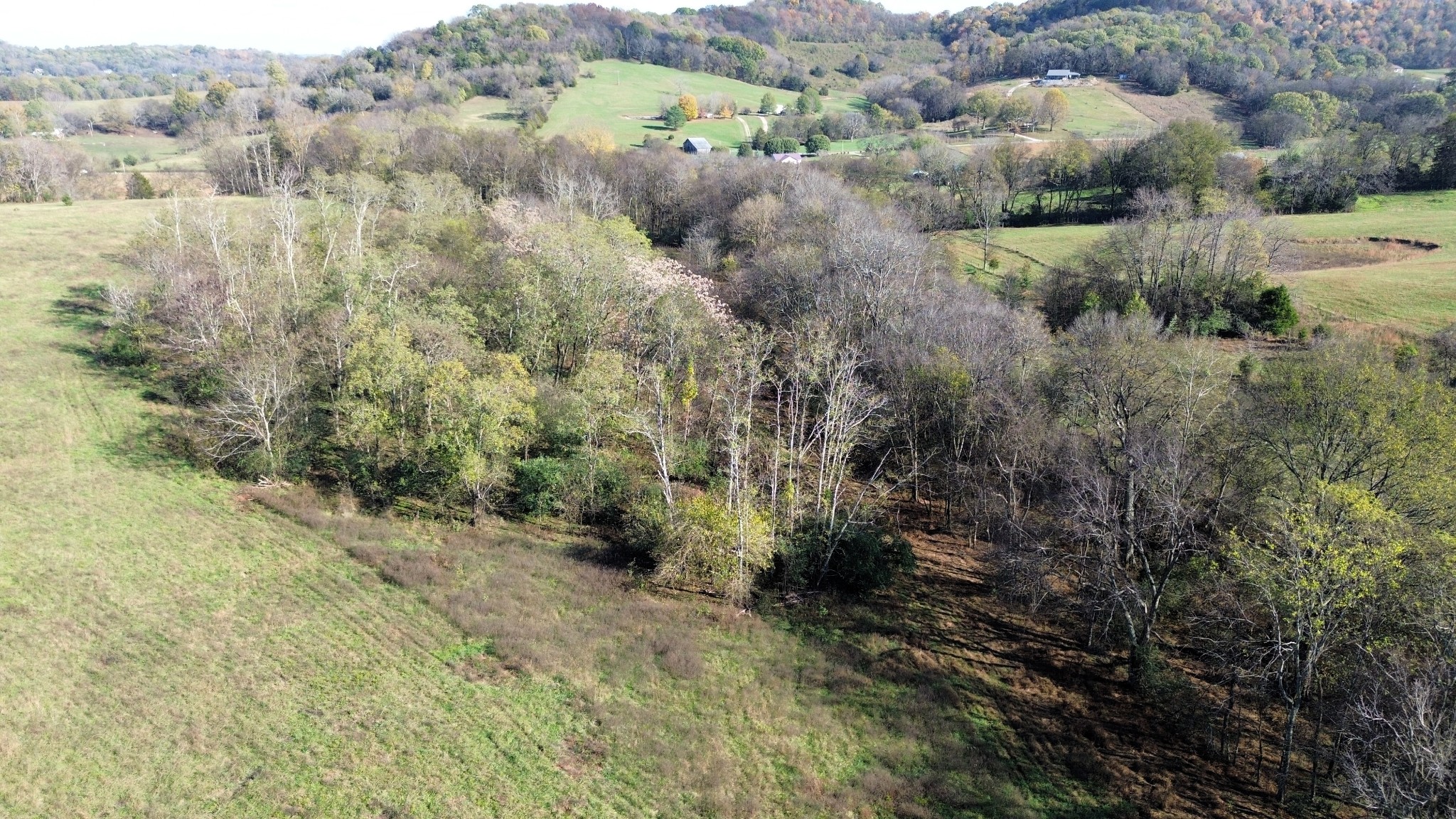 0 Mooresville Pike Property Photo 8