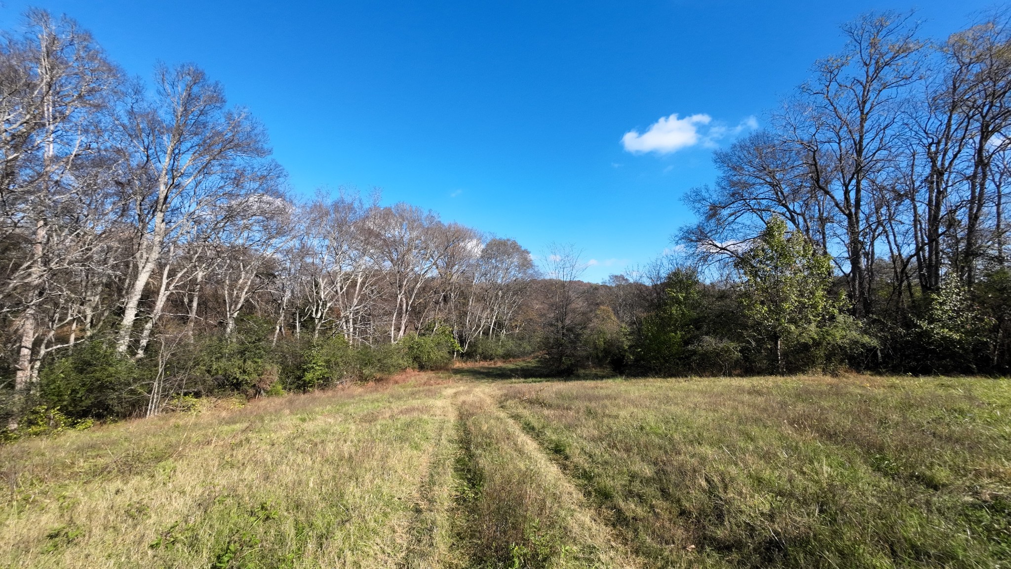 0 Mooresville Pike Property Photo 20