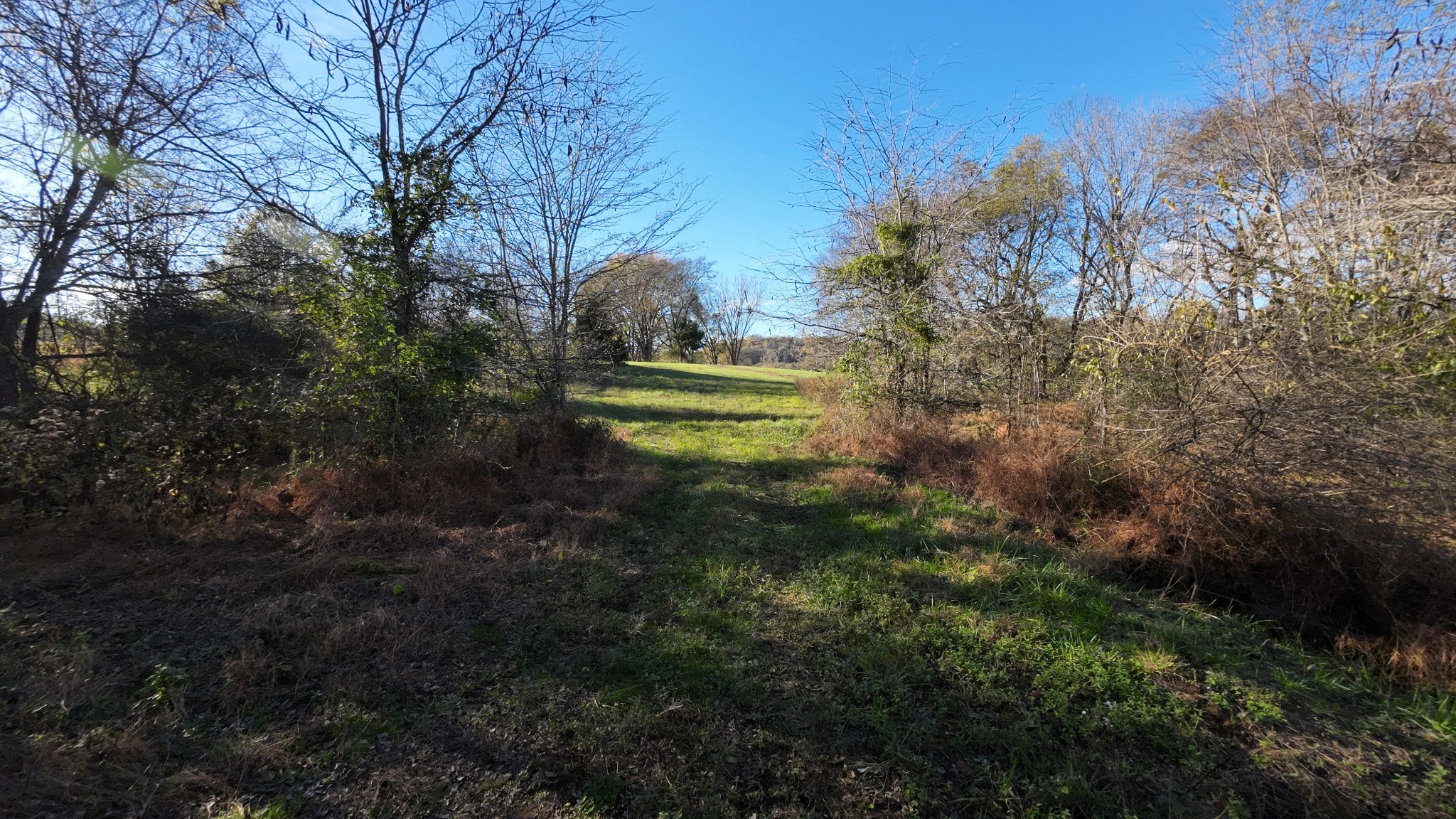 0 Mooresville Pike Property Photo 21