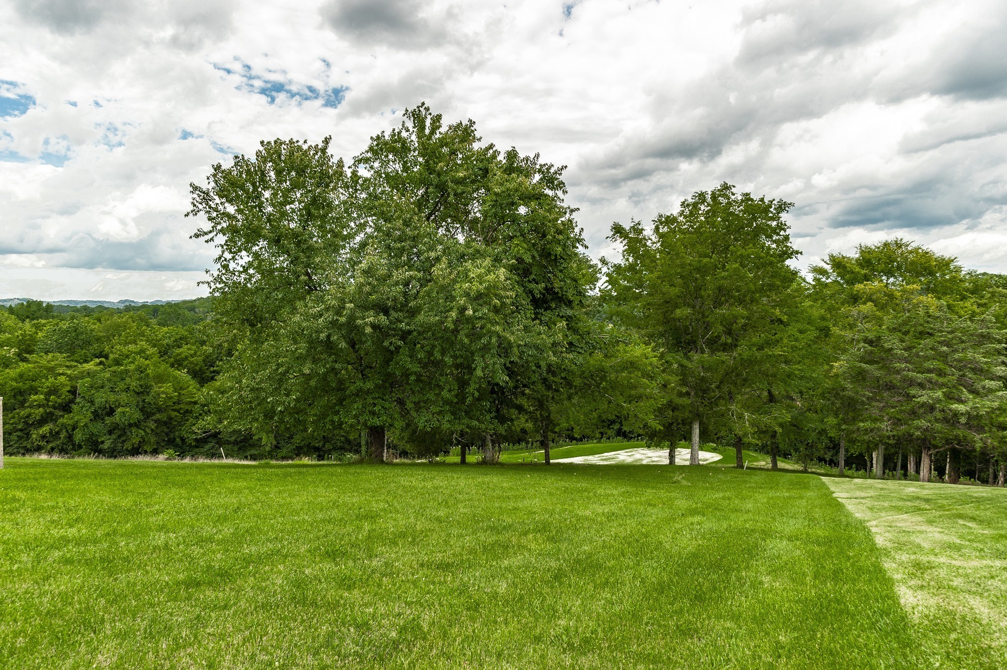 1009 Twelve Stones Ct Property Photo 4