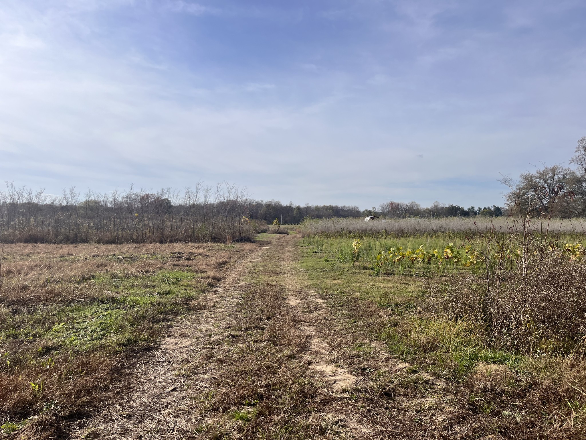 0 Ivy Bluff Trail Property Photo 2