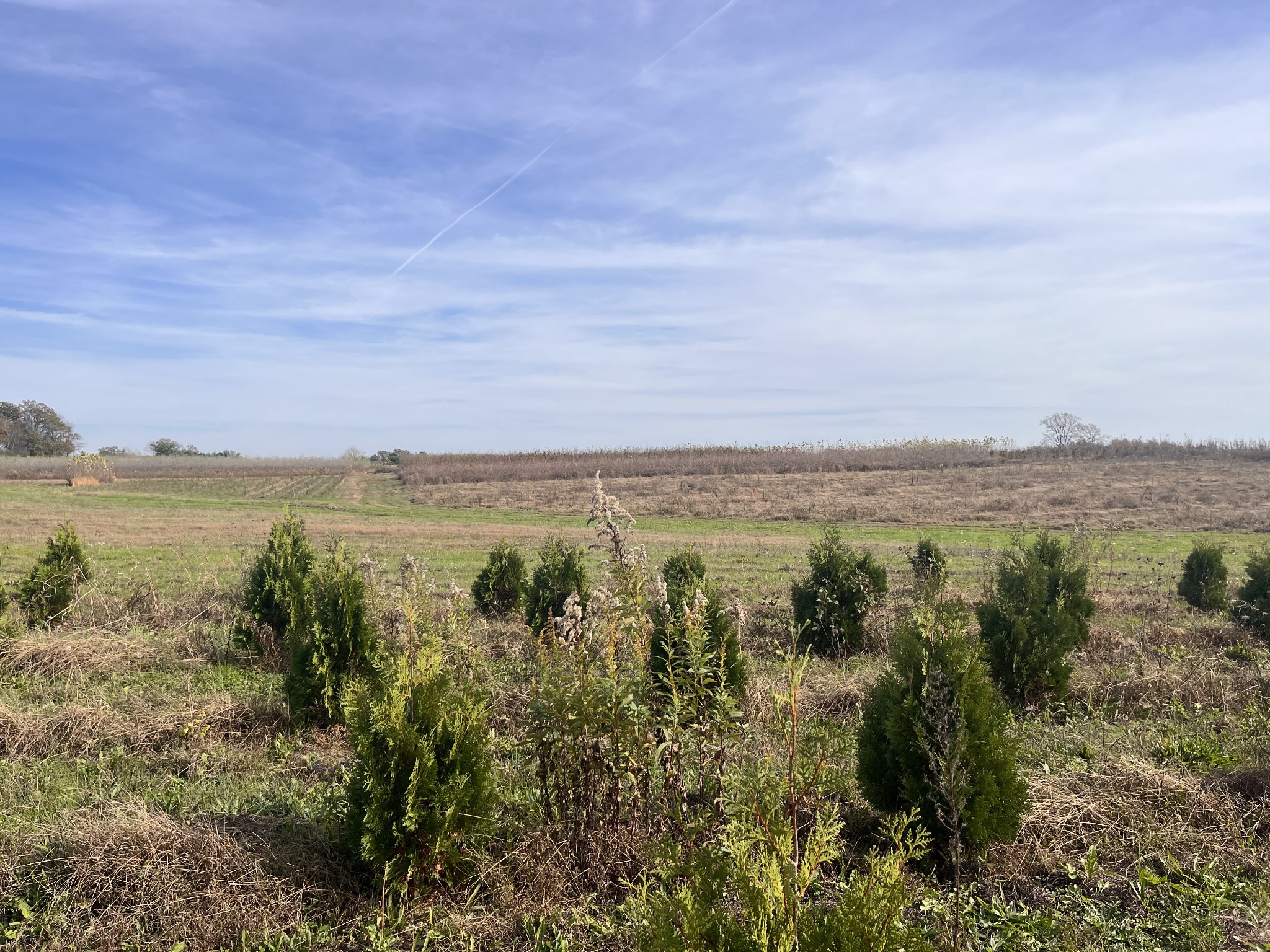 0 Ivy Bluff Trail Property Photo 3