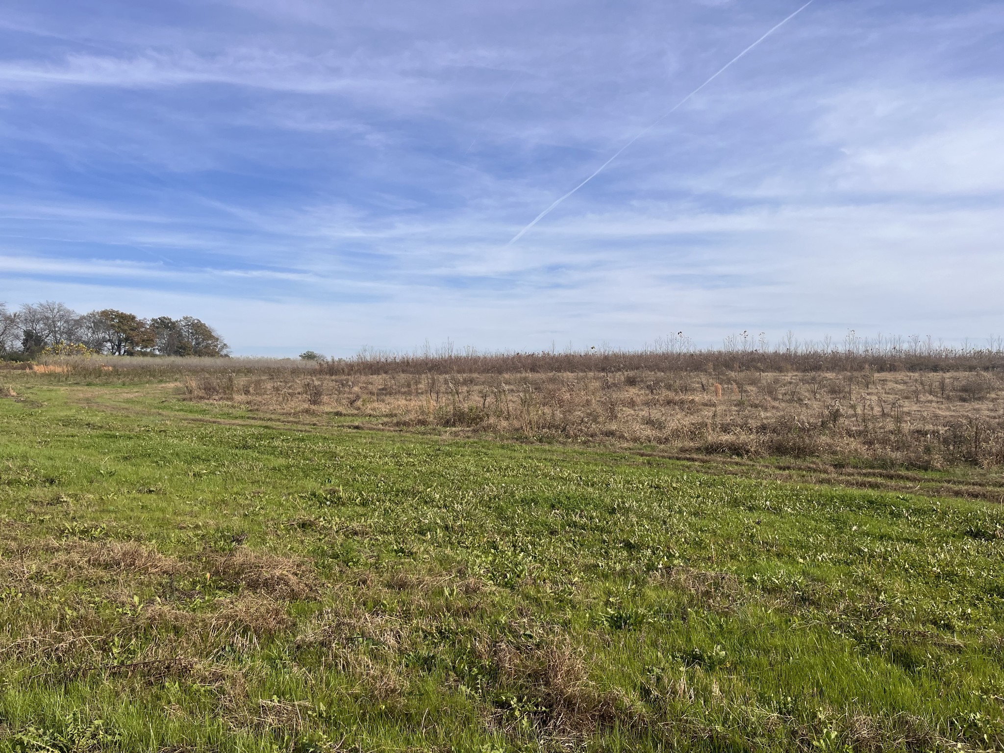 0 Ivy Bluff Trail Property Photo 9