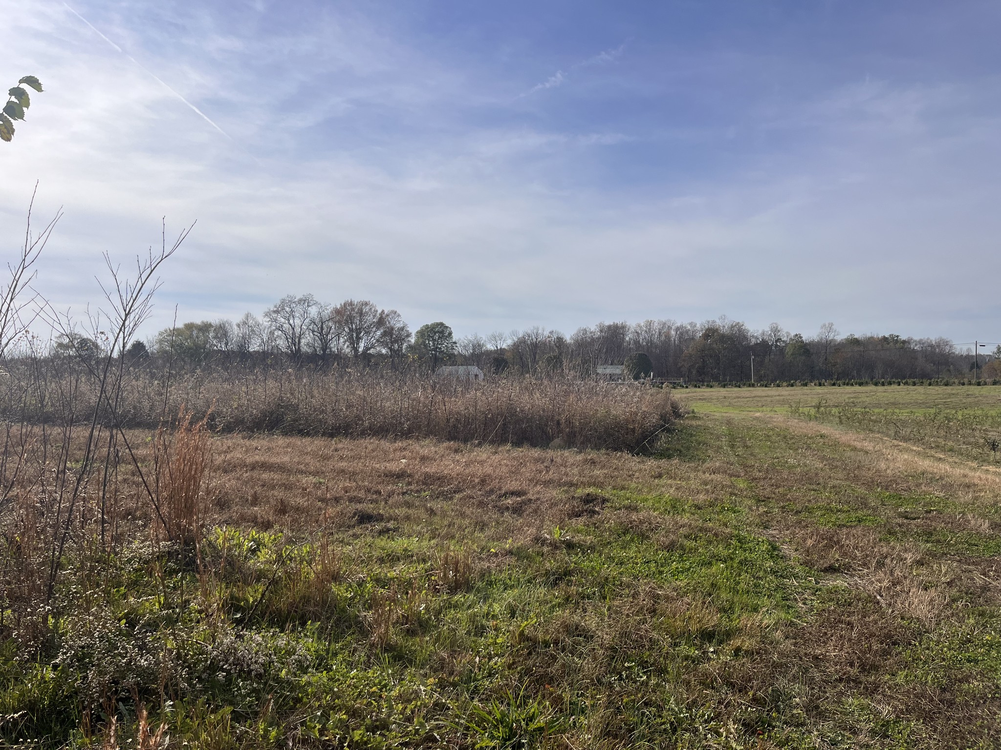 0 Ivy Bluff Trail Property Photo 11