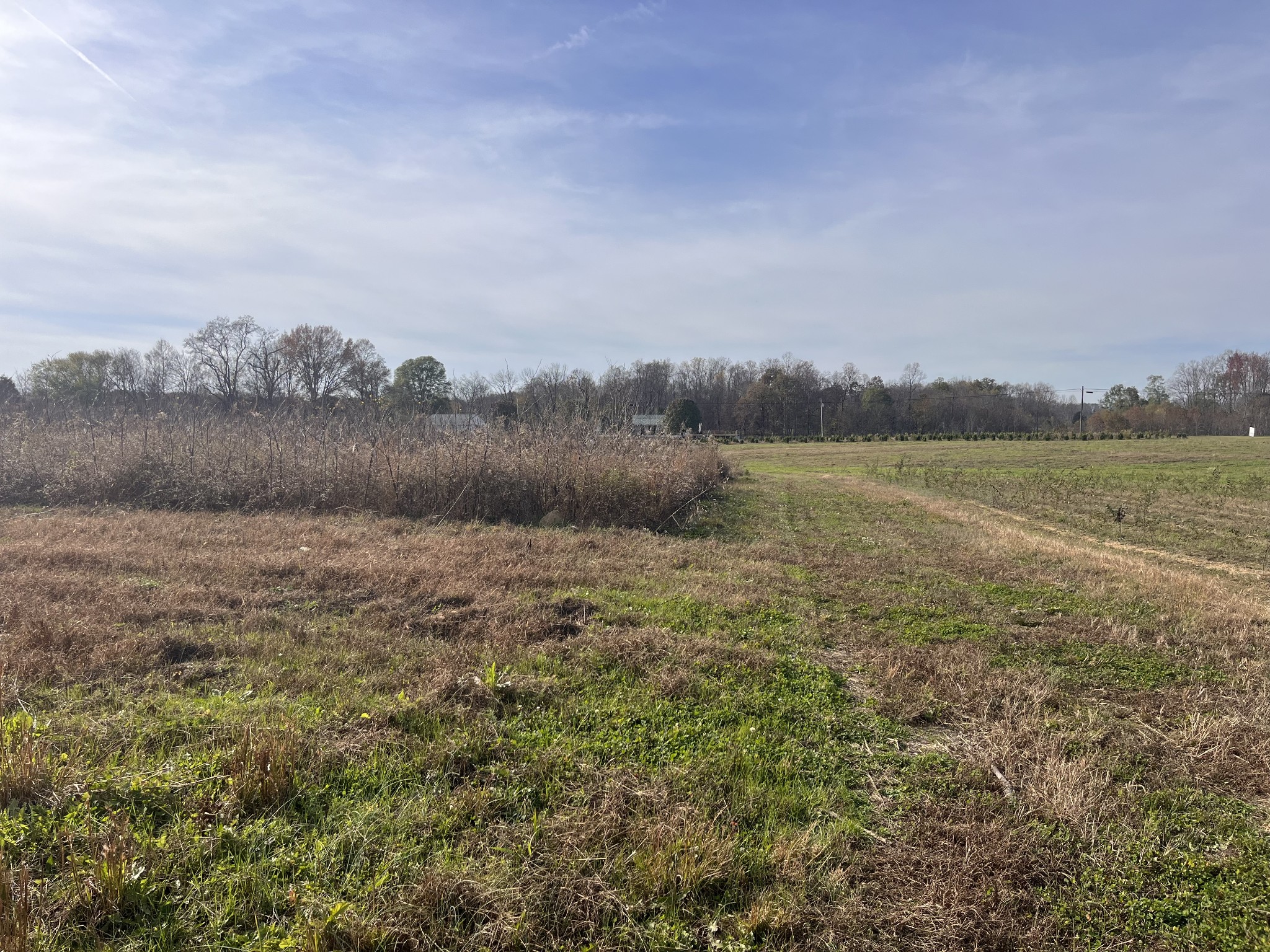 0 Ivy Bluff Trail Property Photo 12