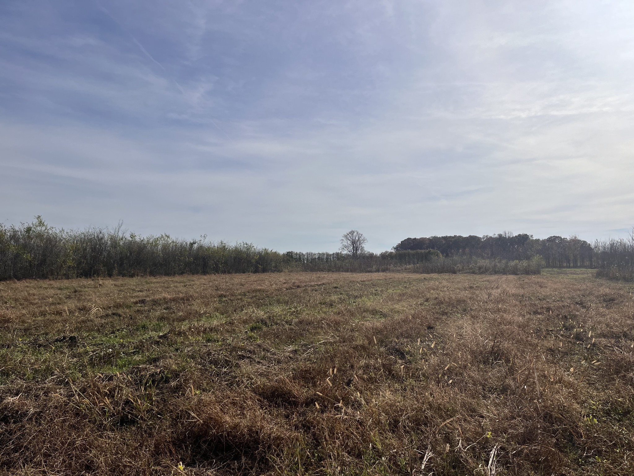 0 Ivy Bluff Trail Property Photo 17