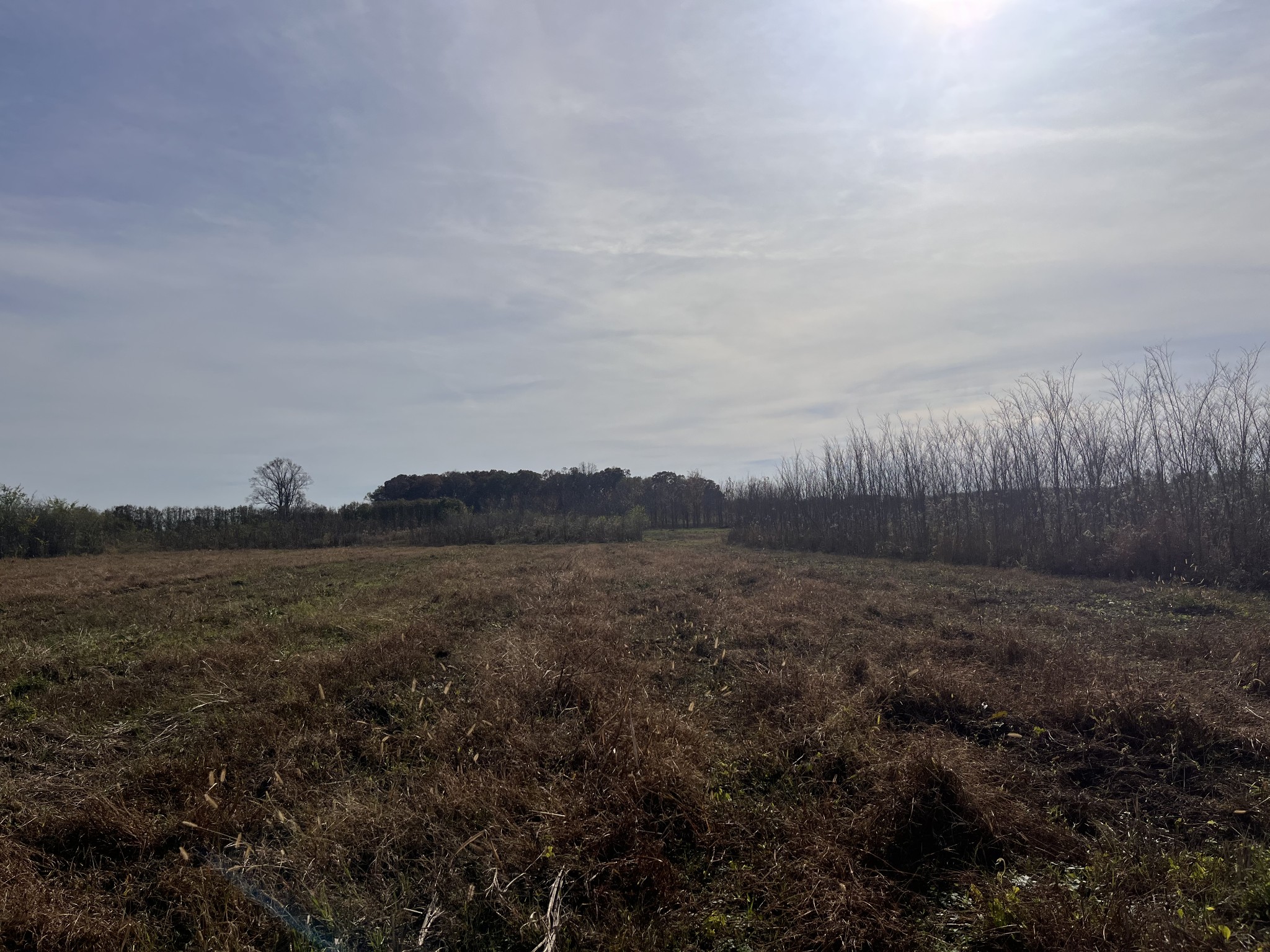 0 Ivy Bluff Trail Property Photo 18