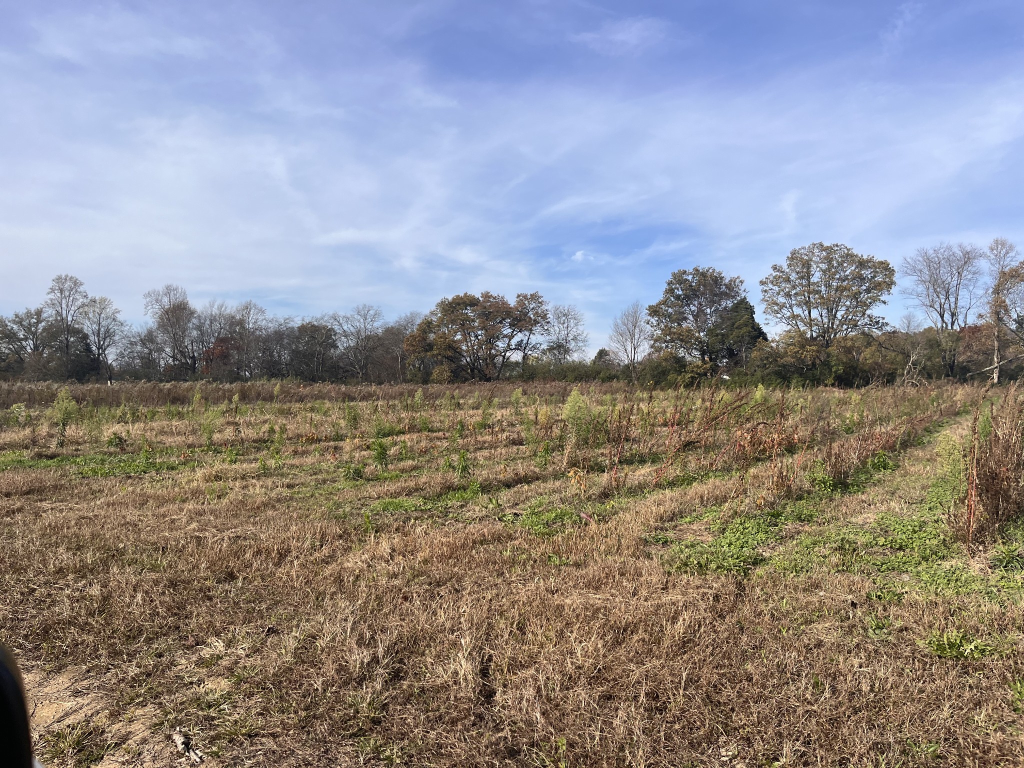 0 Ivy Bluff Trail Property Photo 22