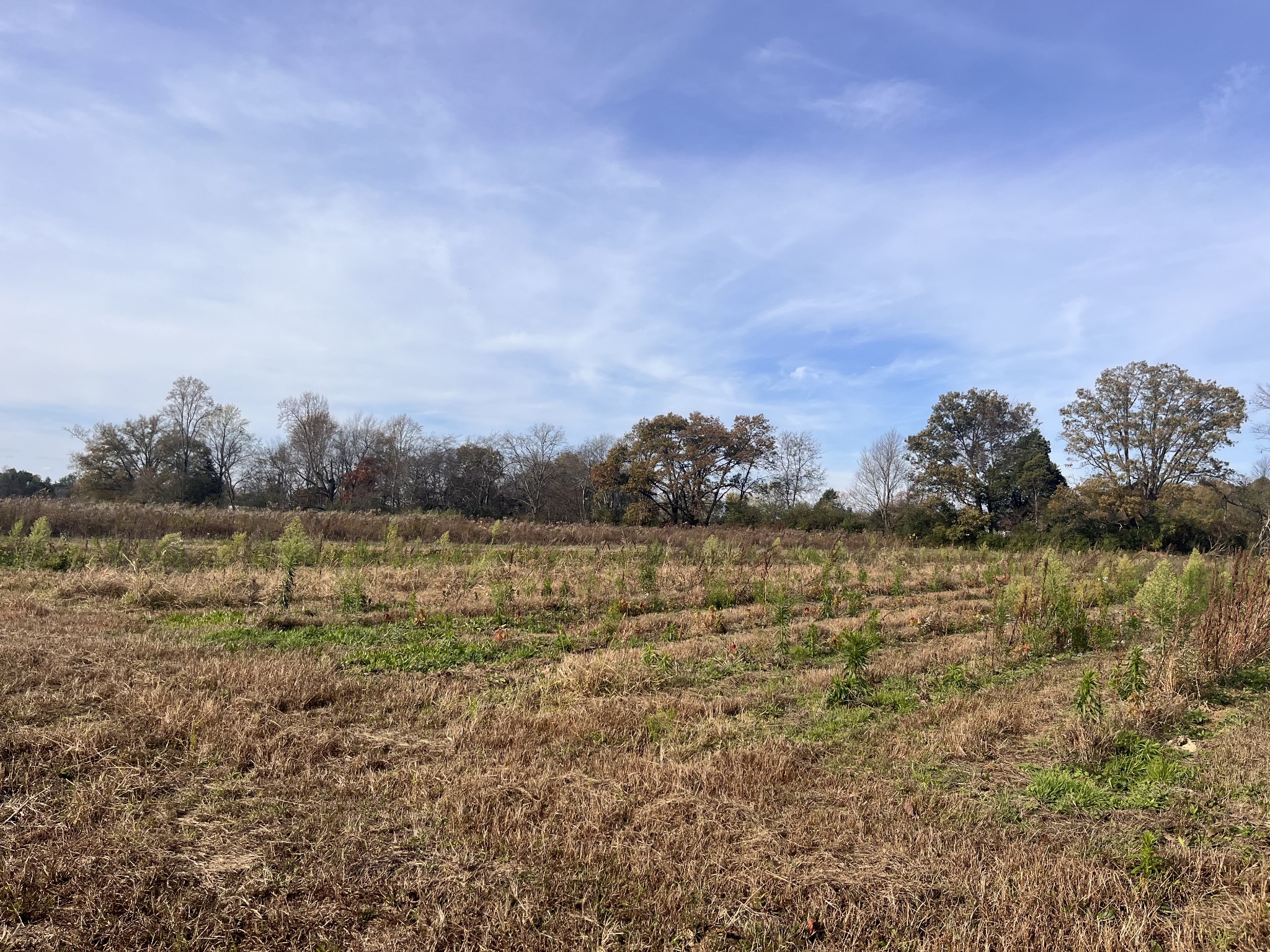 0 Ivy Bluff Trail Property Photo 23