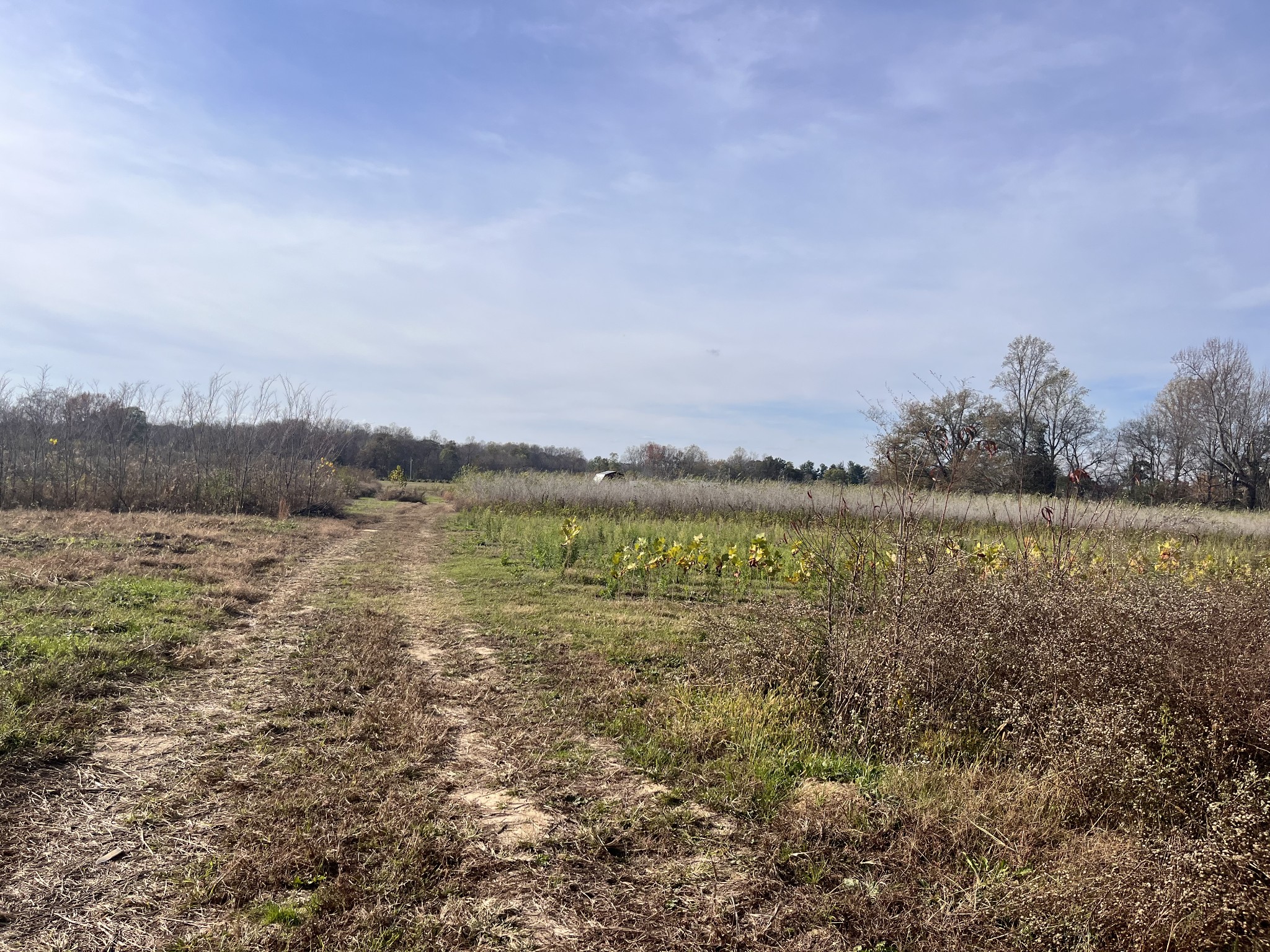0 Ivy Bluff Trail Property Photo 24
