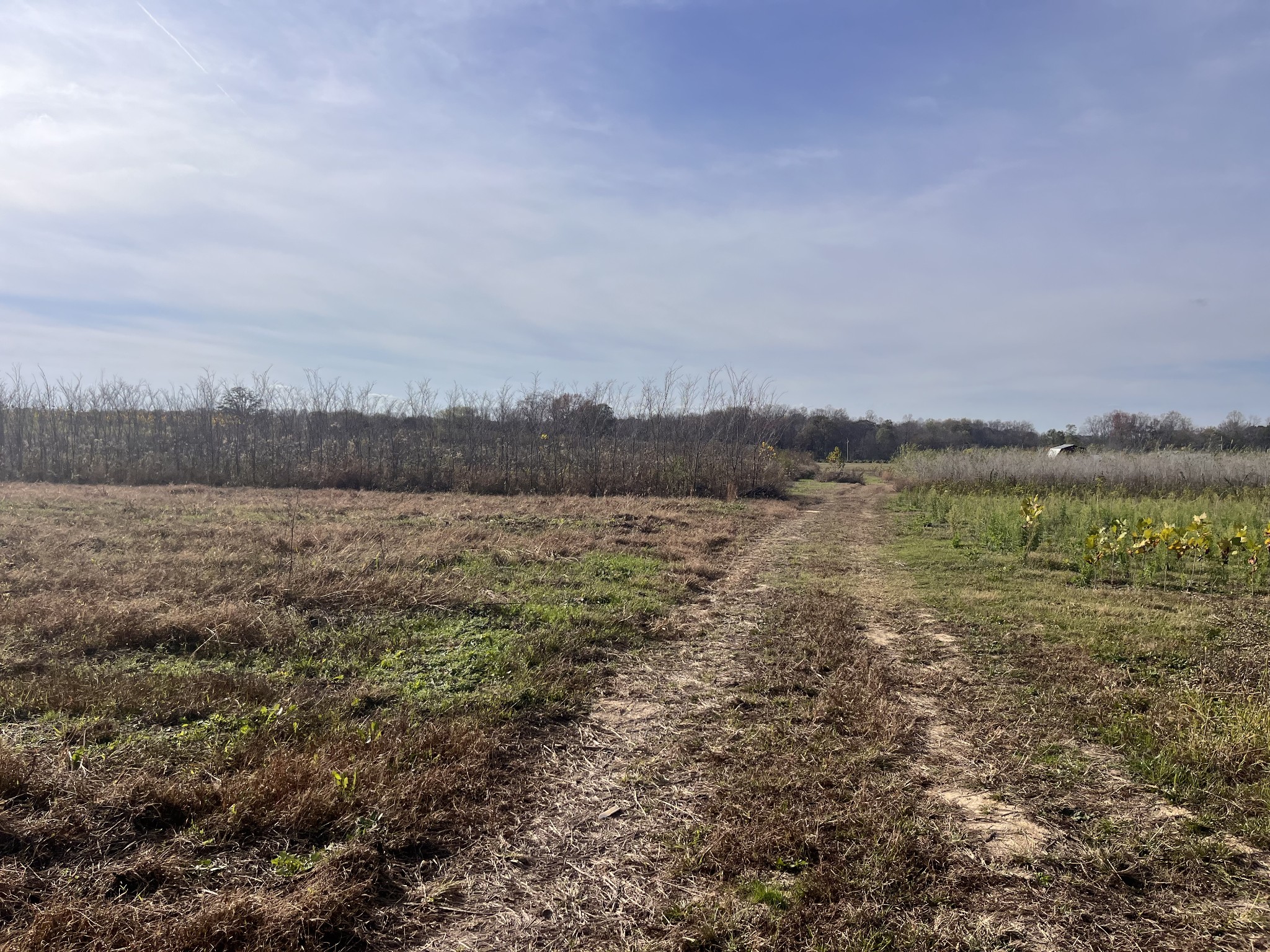 0 Ivy Bluff Trail Property Photo 25
