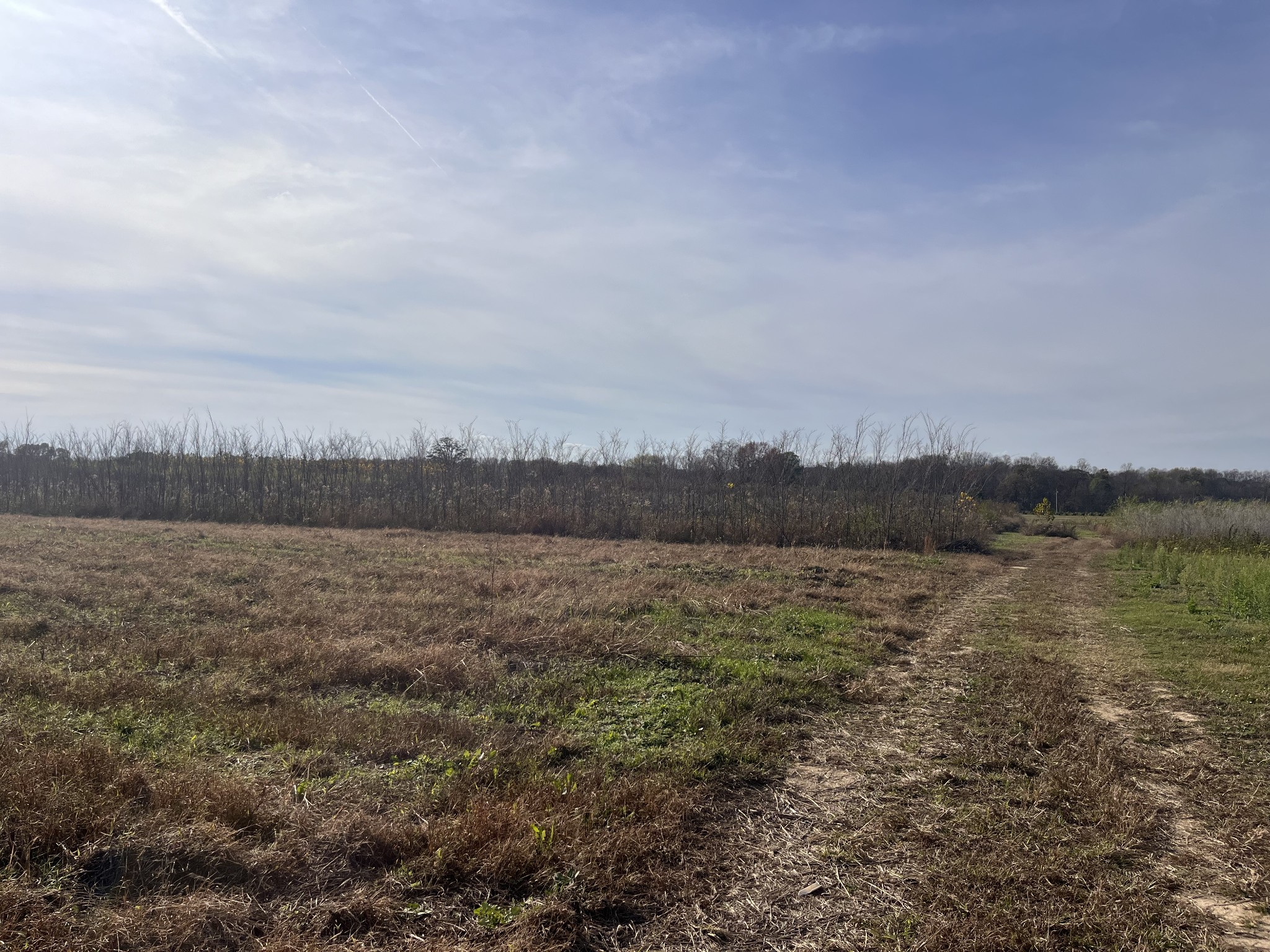0 Ivy Bluff Trail Property Photo 26