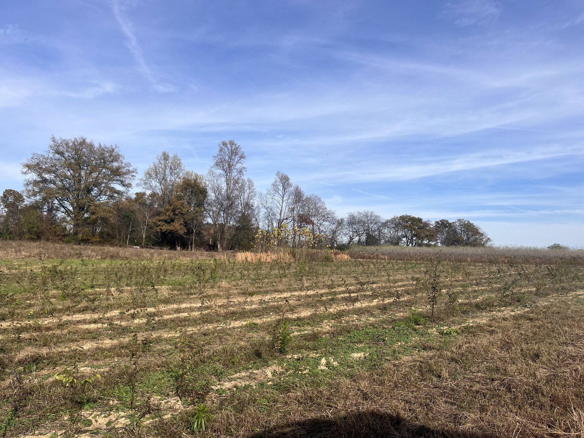 0 Ivy Bluff Trail Property Photo 29