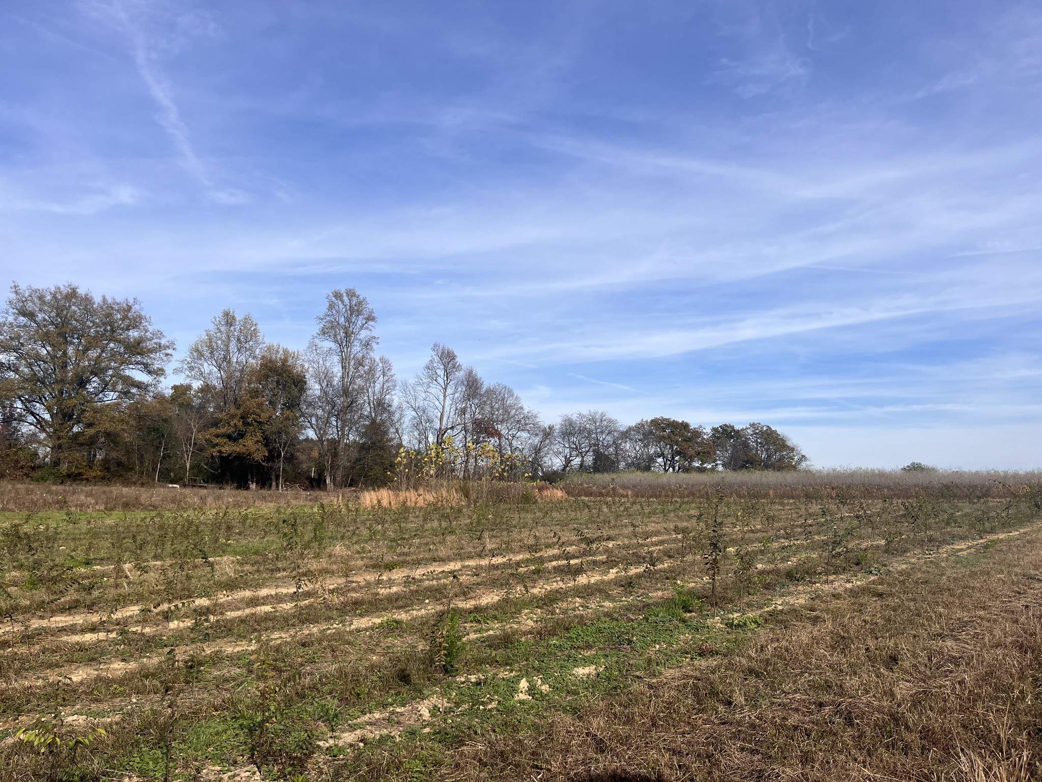 0 Ivy Bluff Trail Property Photo 30