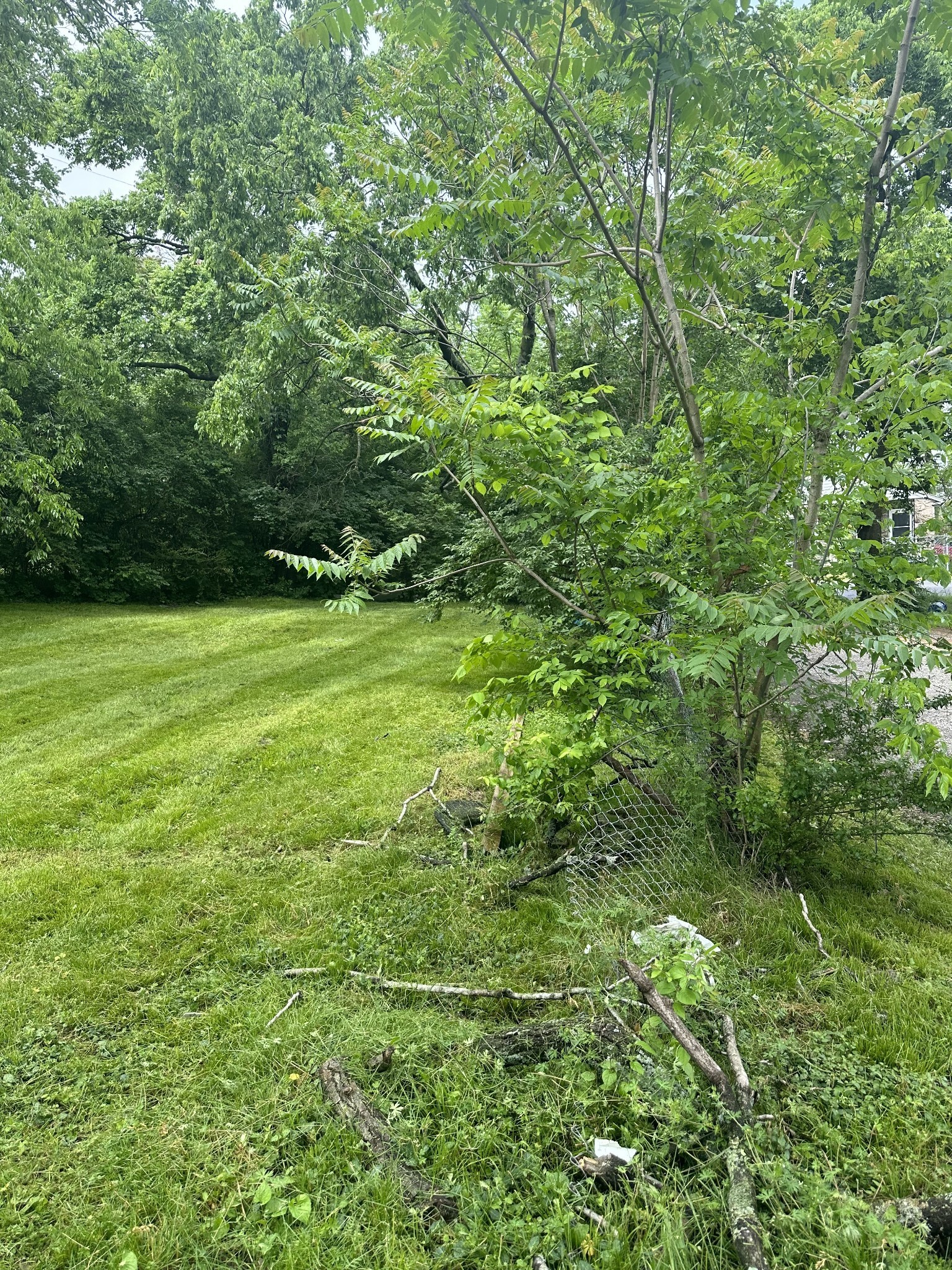 2905 Booker Street Property Photo 10