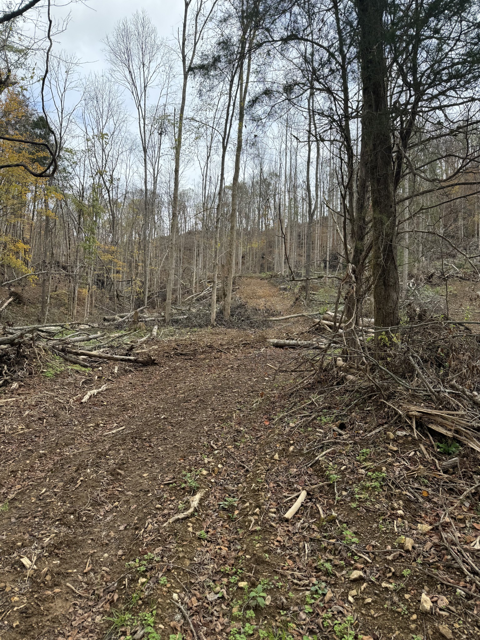 0 Webster Branch Ln Property Photo 8