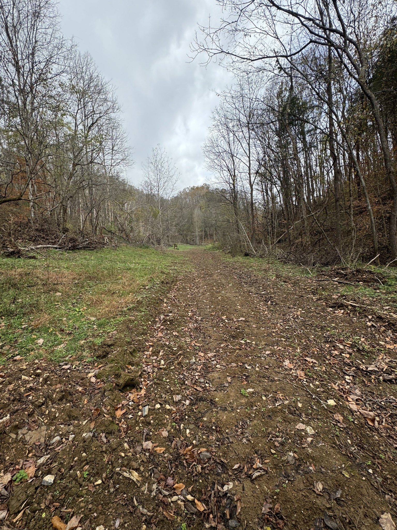 0 Webster Branch Ln Property Photo 17
