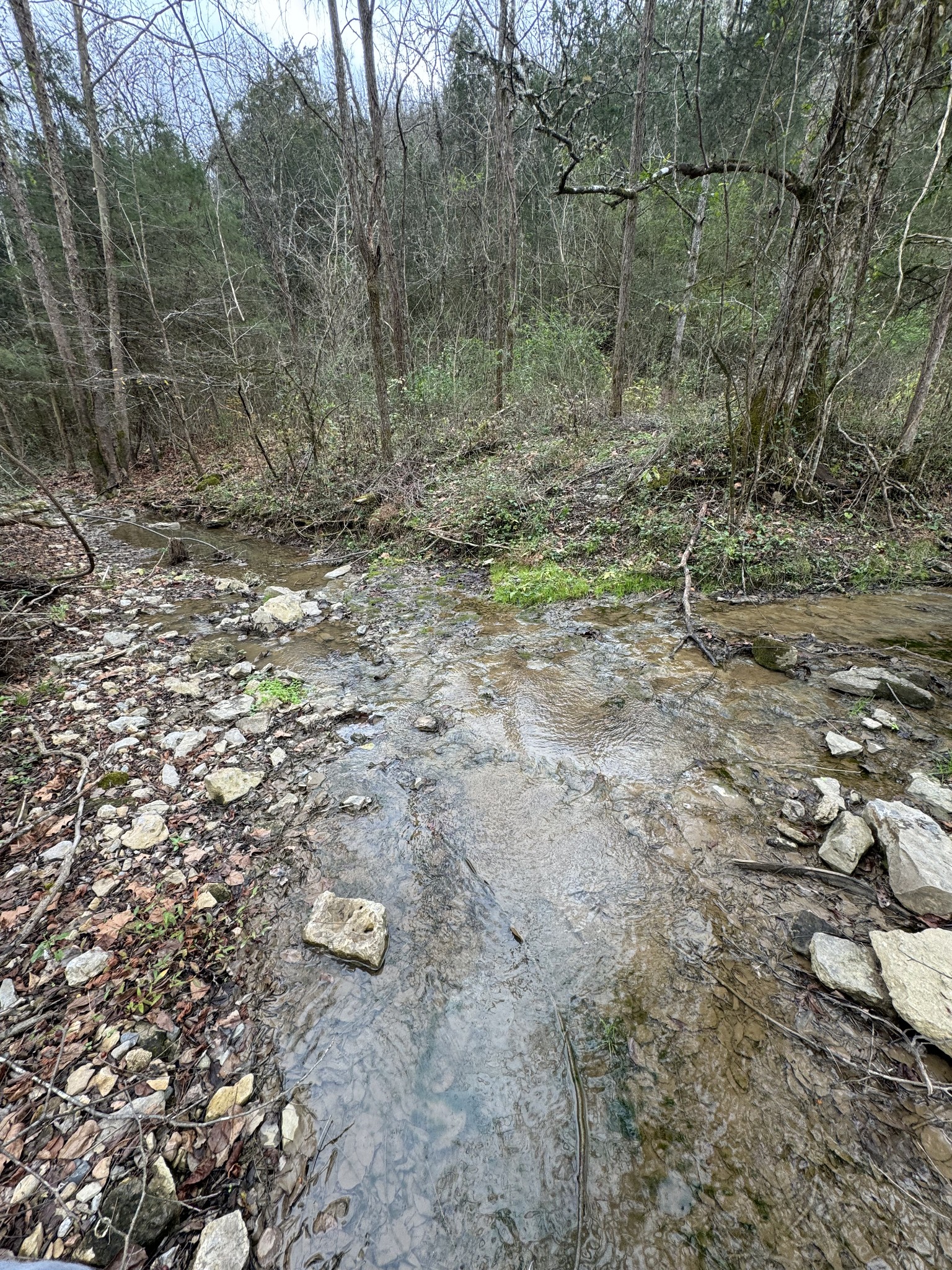 0 Webster Branch Ln Property Photo 26