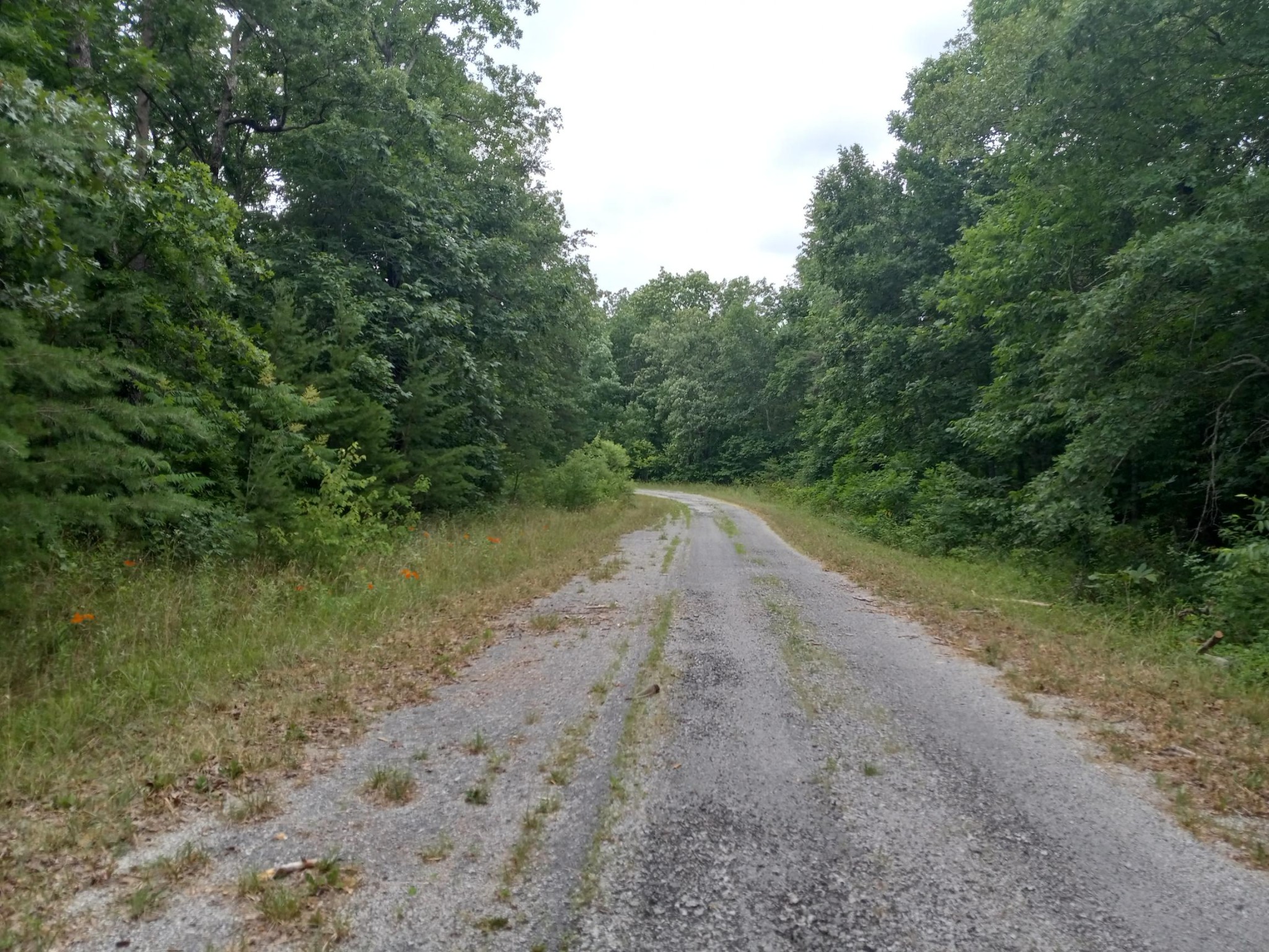 1163 Chanute Trail Property Photo 2