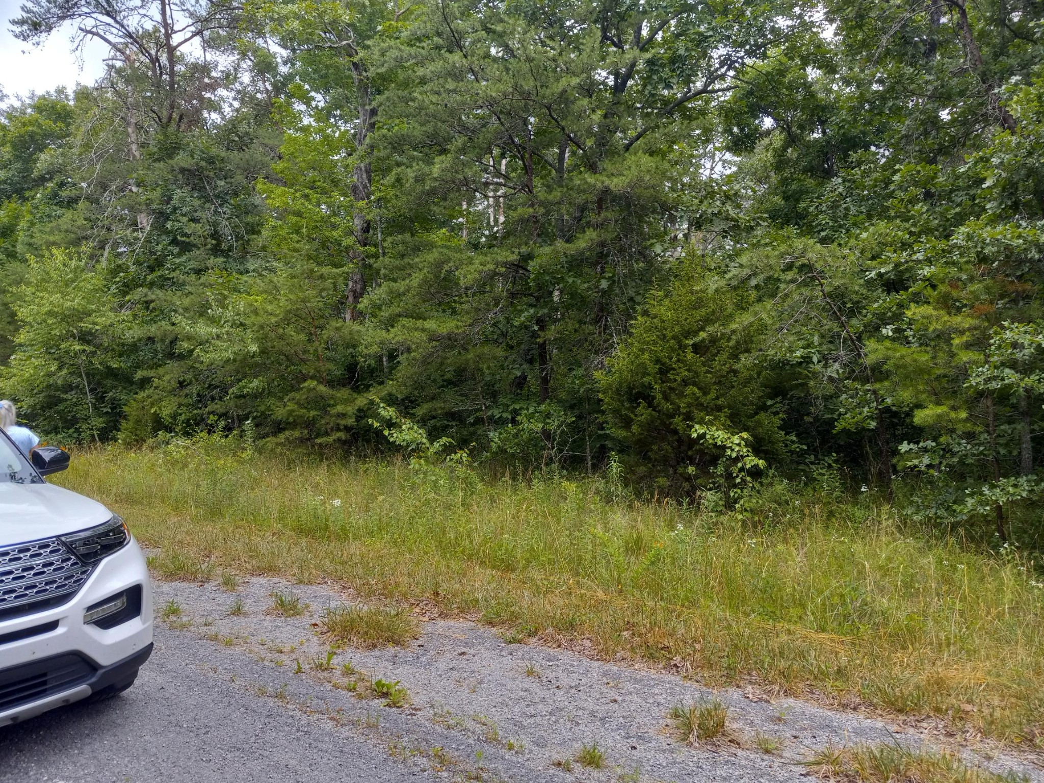 1163 Chanute Trail Property Photo 3
