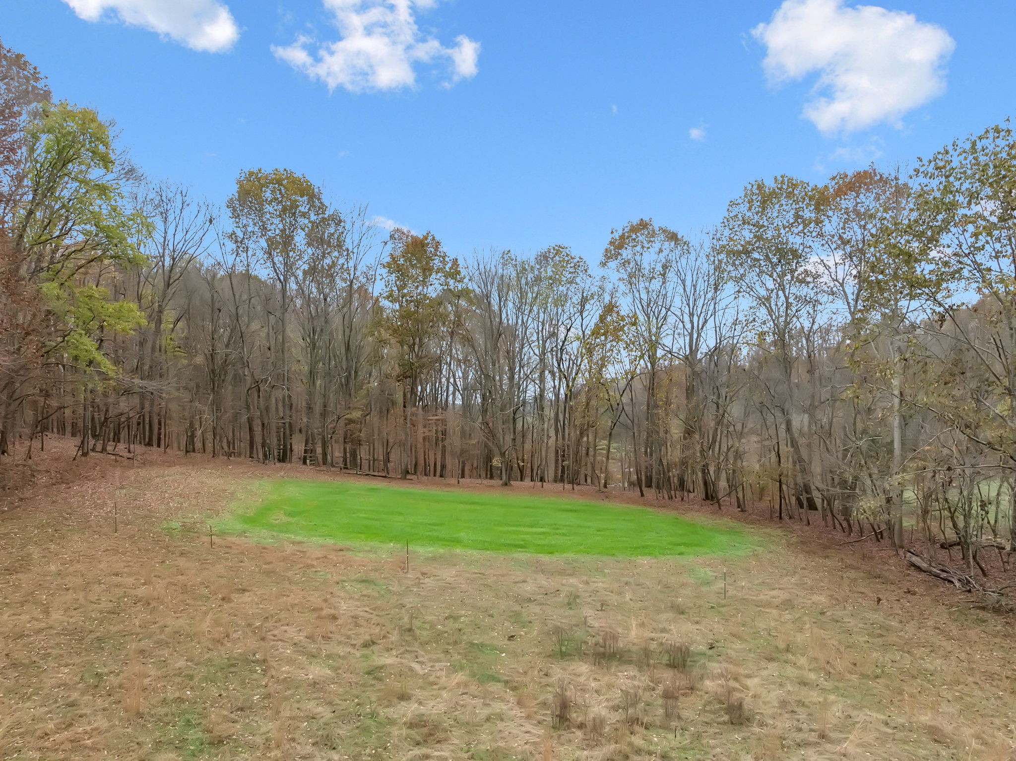 6095 Pumpkintown Lane Property Photo 14