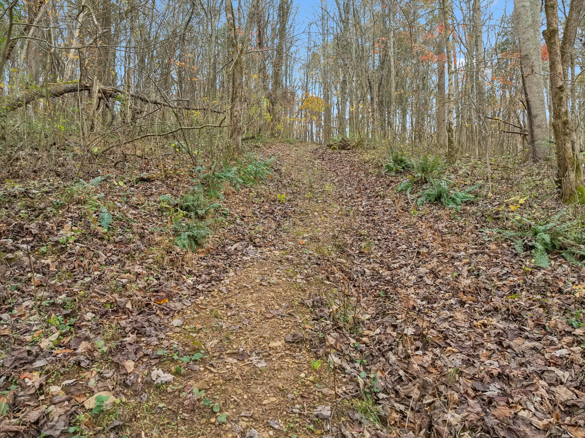 6095 Pumpkintown Lane Property Photo 18