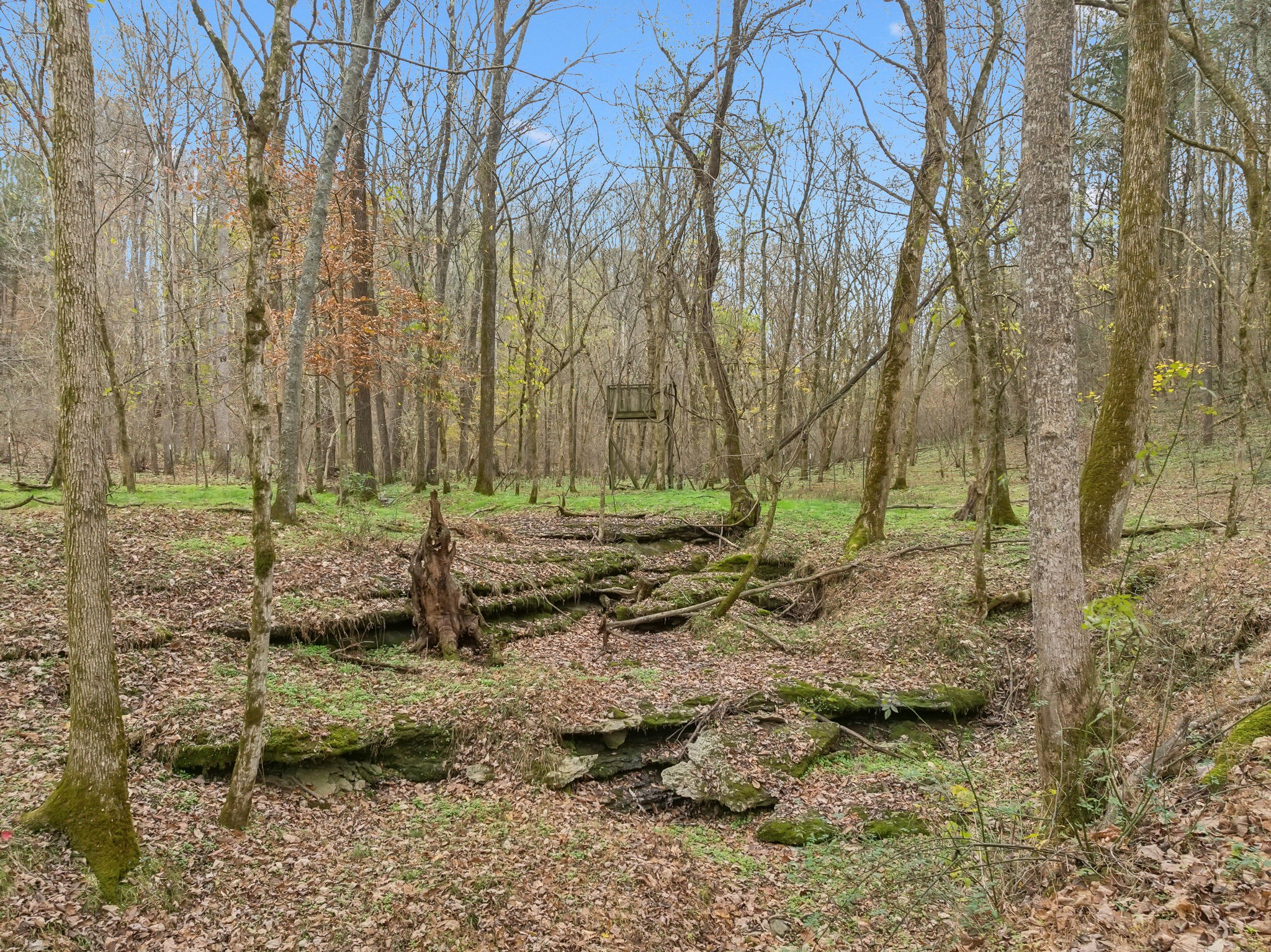 6095 Pumpkintown Lane Property Photo 19