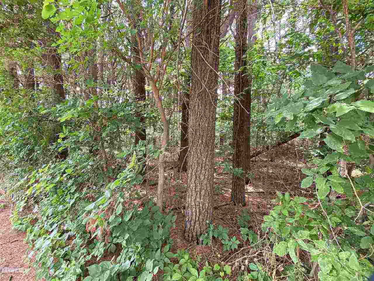 Lot 3 Squire Circle Property Photo 1