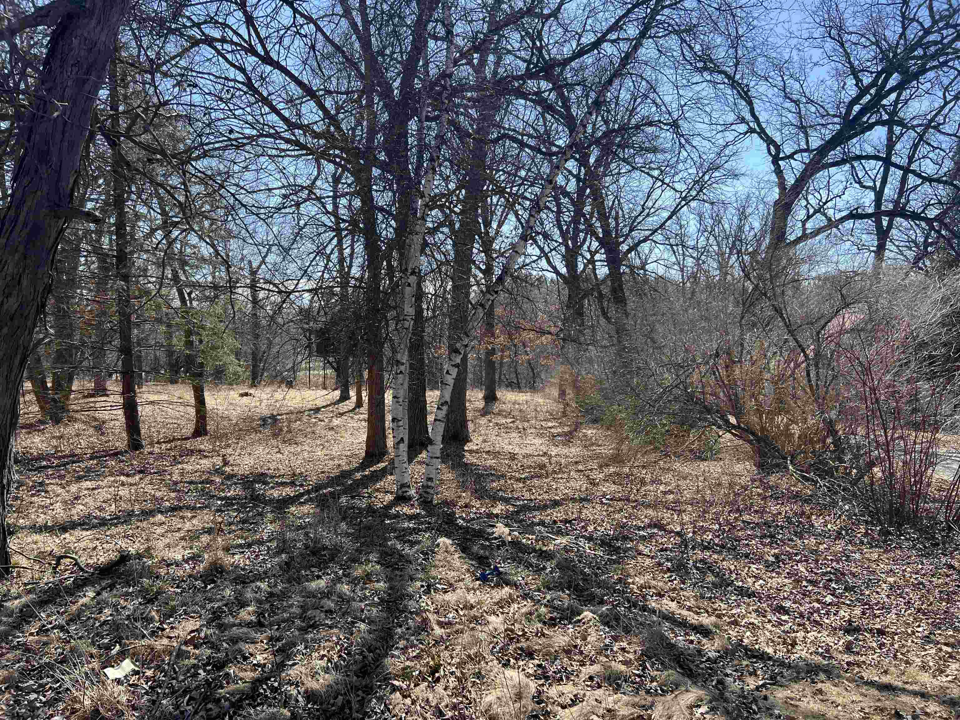 16524 Grove Creek Circle Property Photo 1