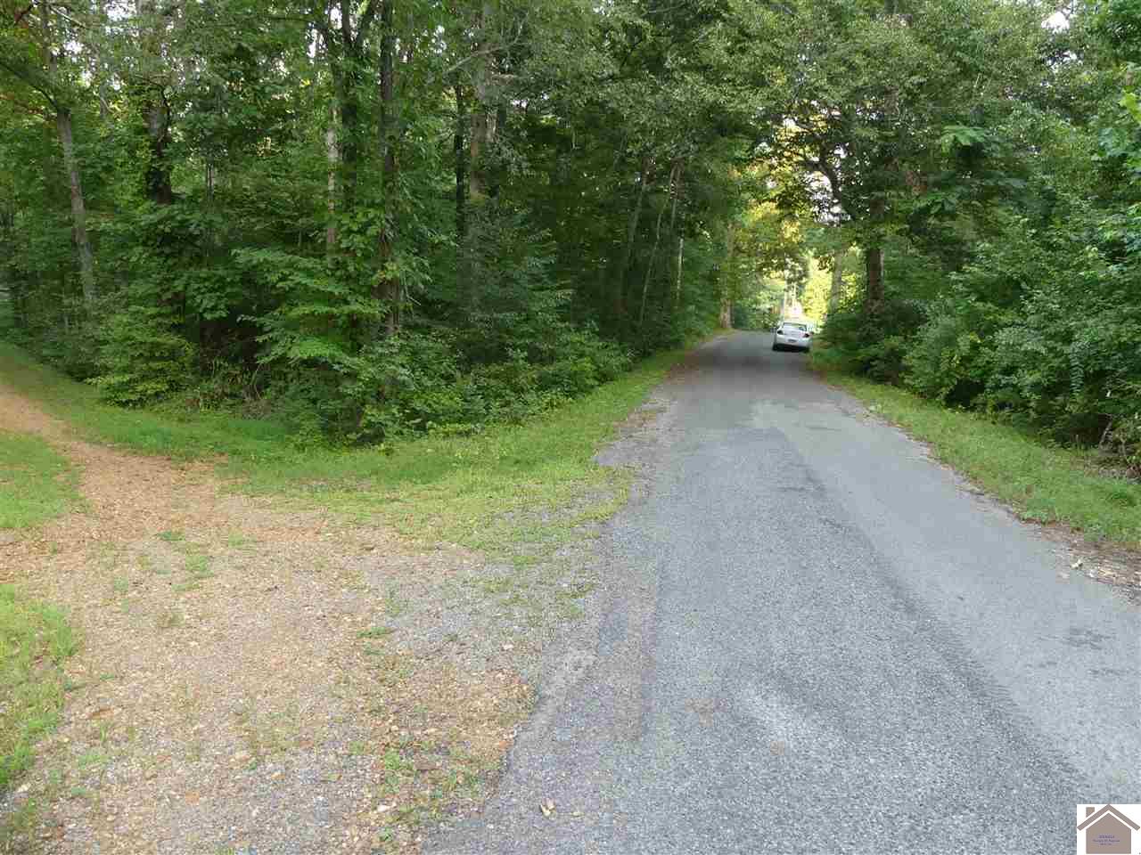 209 Bowrider (lots # 57) Property Photo 5