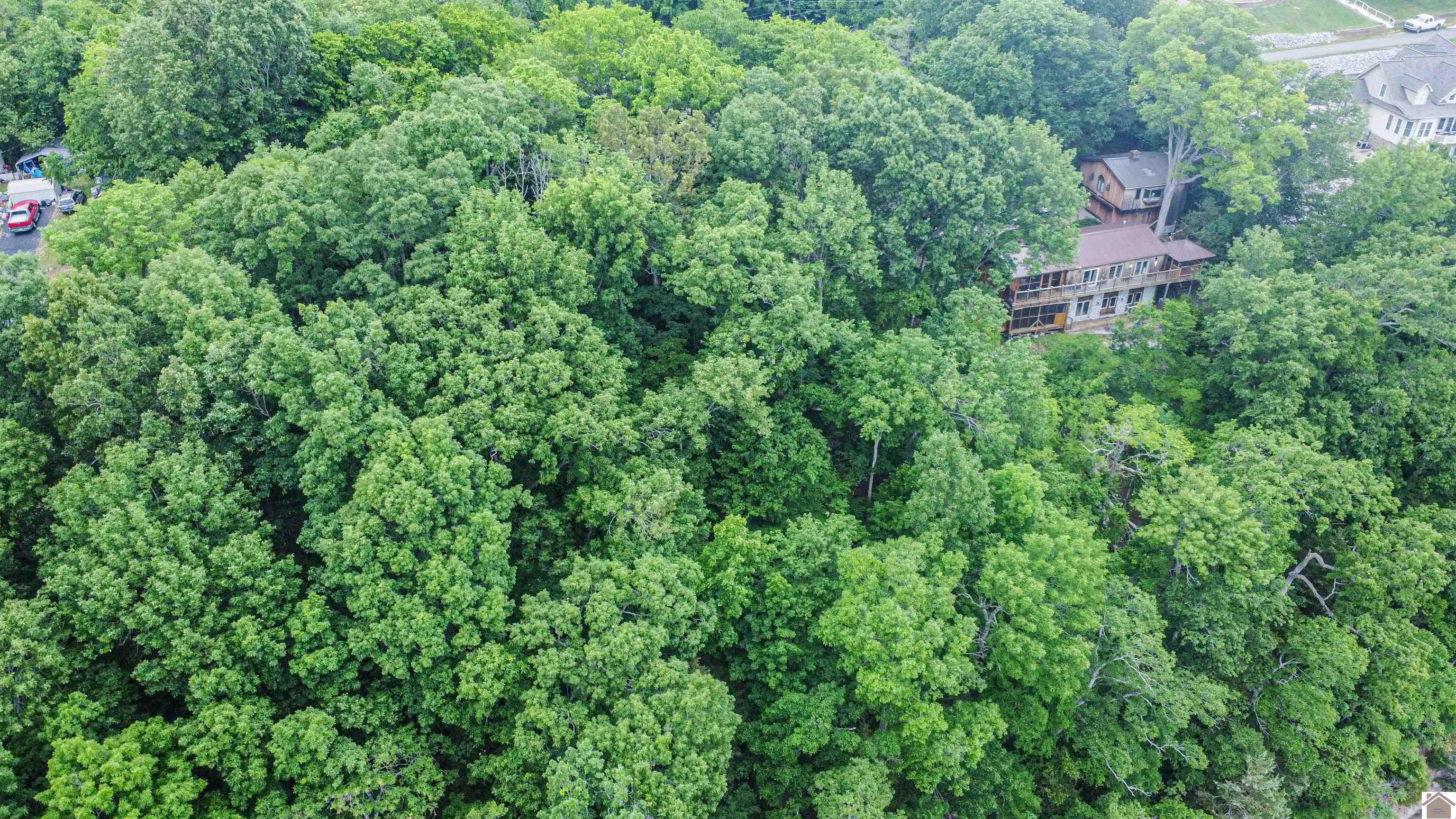 Lot 6 & 7 Palisades Subdivision Property Photo 24