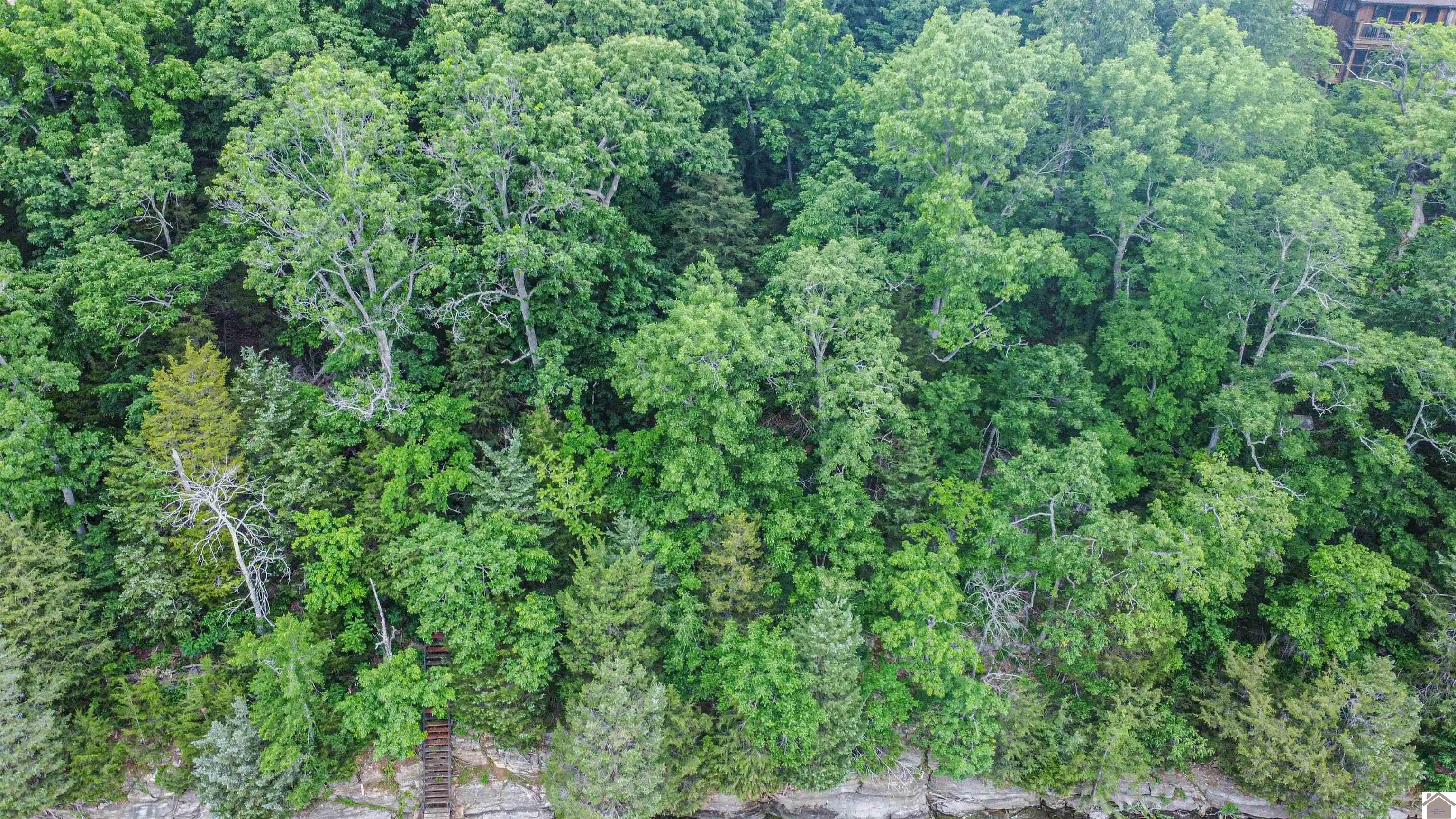 Lot 6 & 7 Palisades Subdivision Property Photo 26