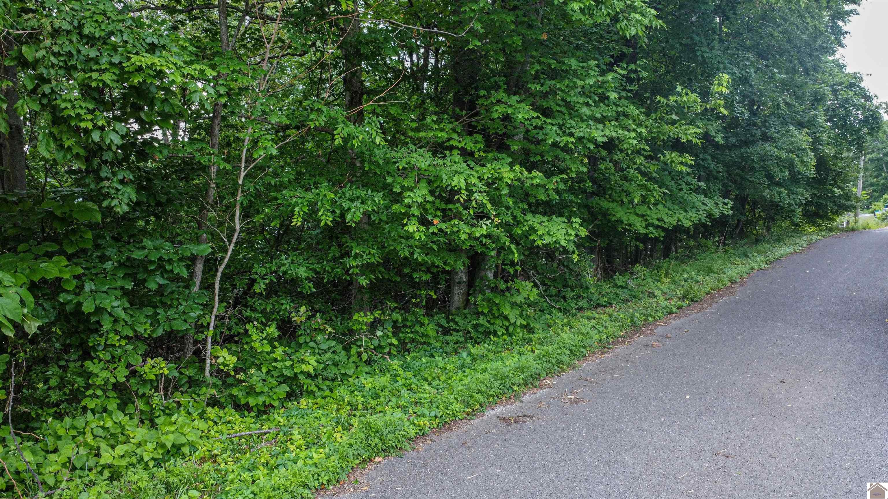 Lot 6 & 7 Palisades Subdivision Property Photo 32